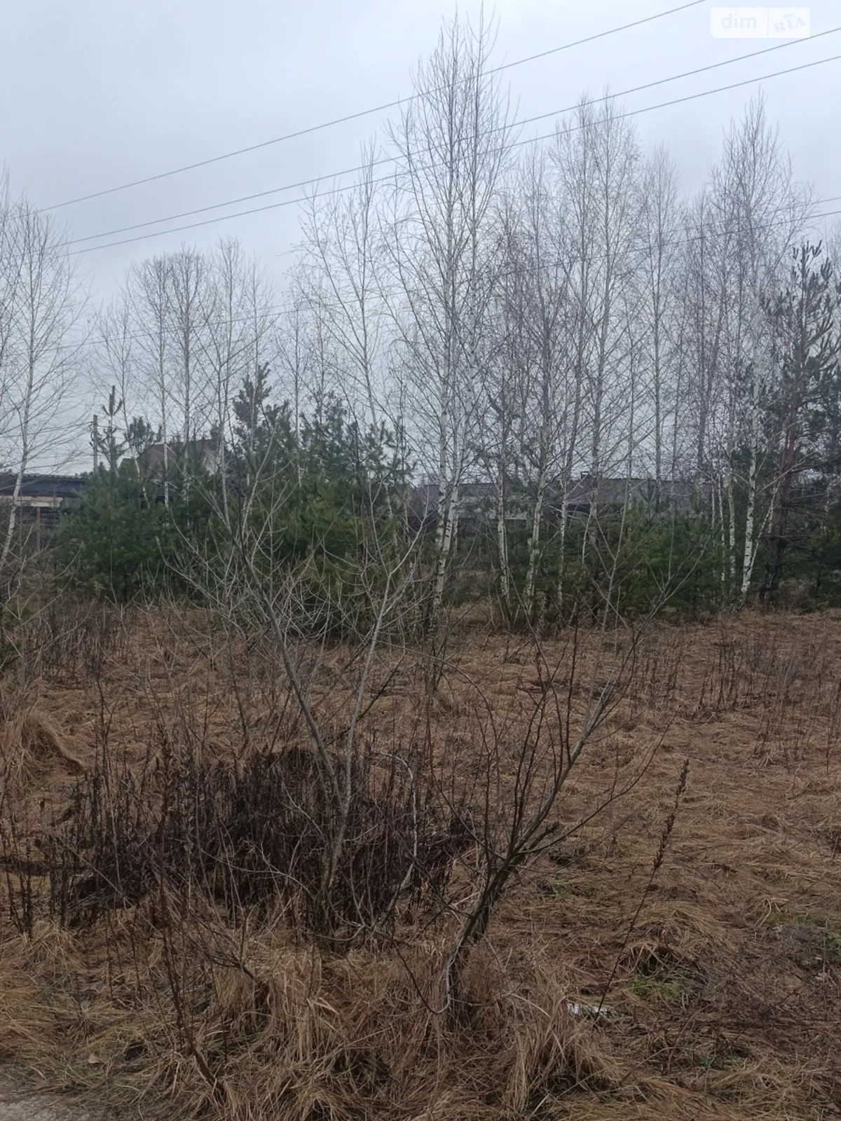 Продается земельный участок 24 соток в Житомирской области - фото 2