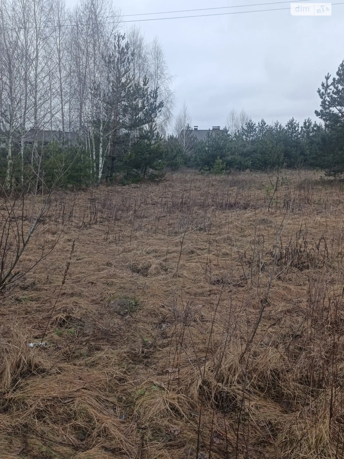 Продается земельный участок 24 соток в Житомирской области - фото 3