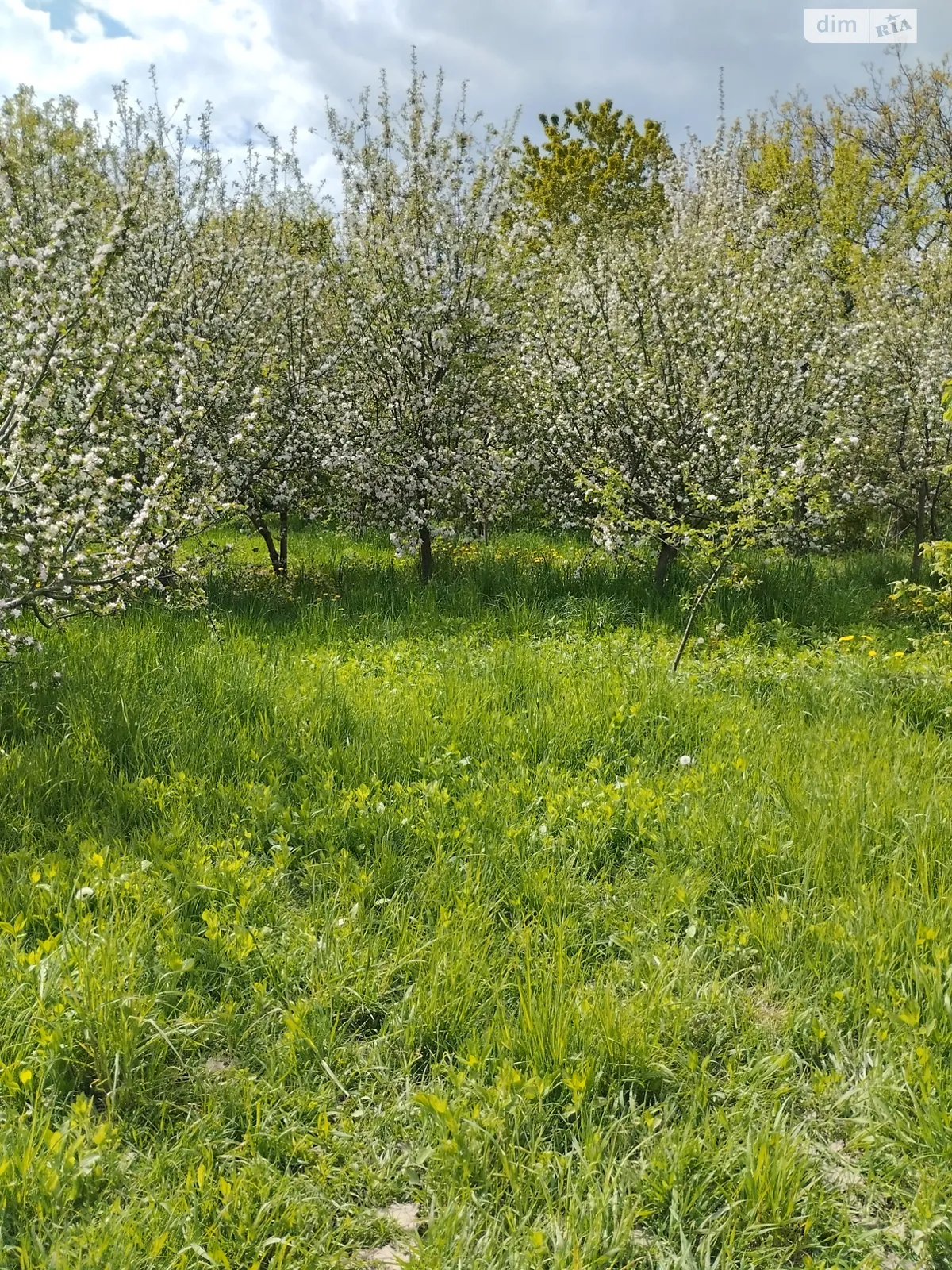 Продається земельна ділянка 10 соток у Вінницькій області, цена: 11000 $