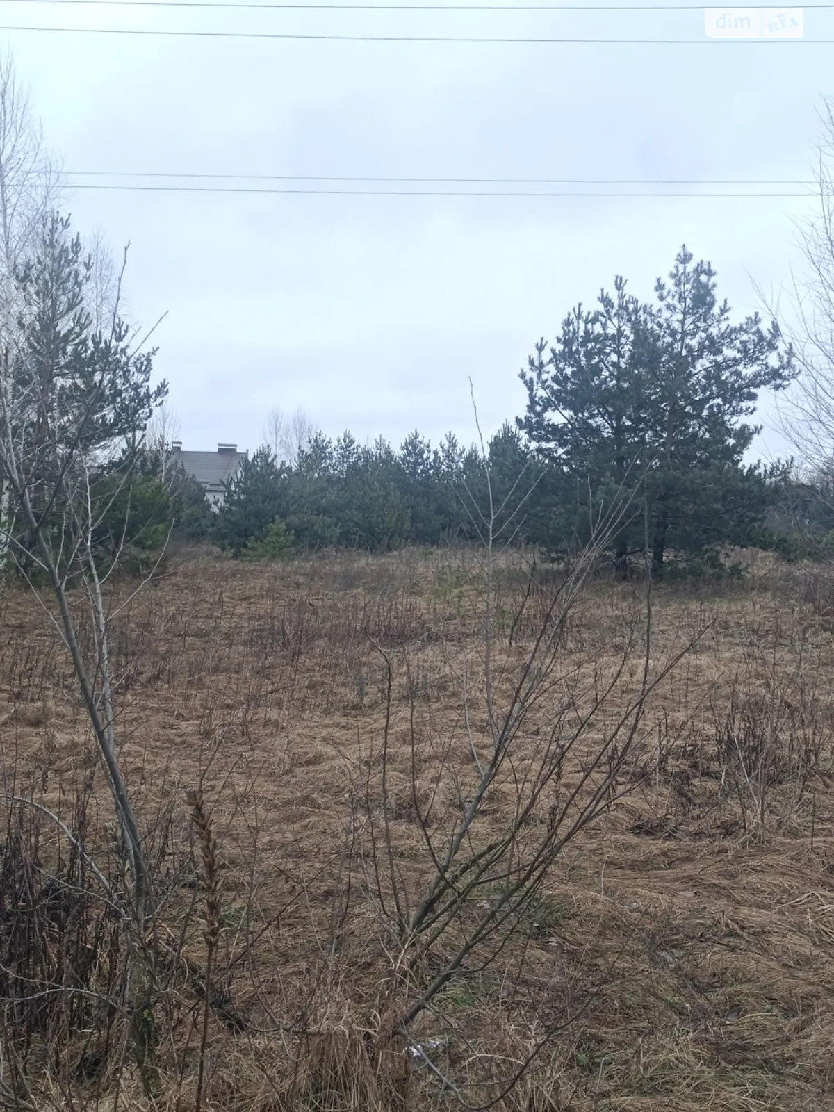 Продается земельный участок 1.38 соток в Житомирской области - фото 3