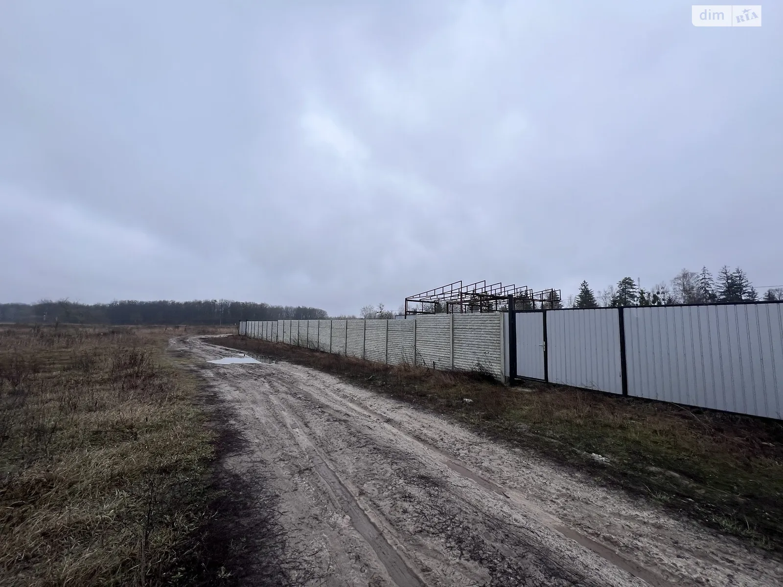 Продается земельный участок 29 соток в Киевской области - фото 2