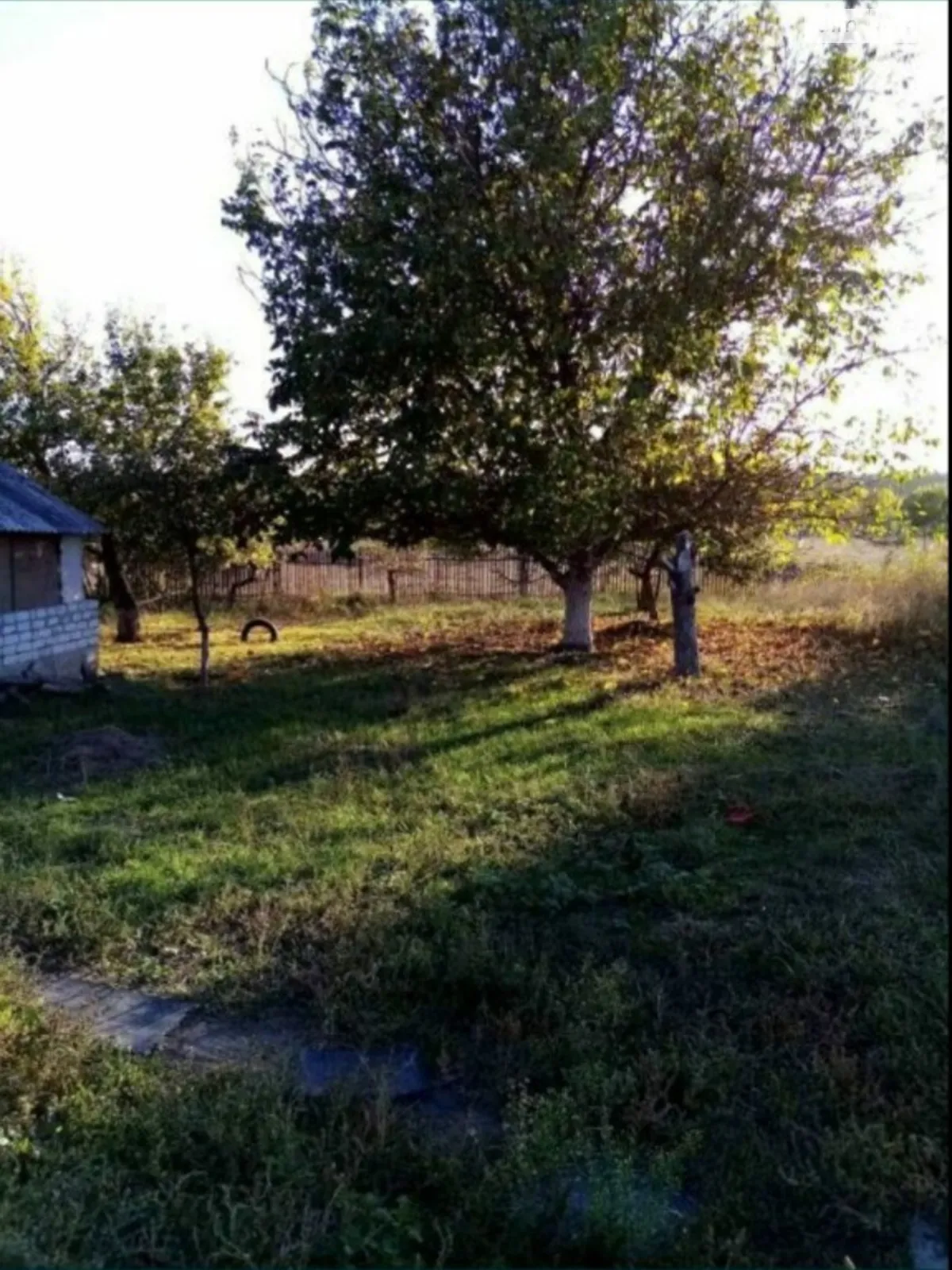 Продается земельный участок 27 соток в Днепропетровской области - фото 2