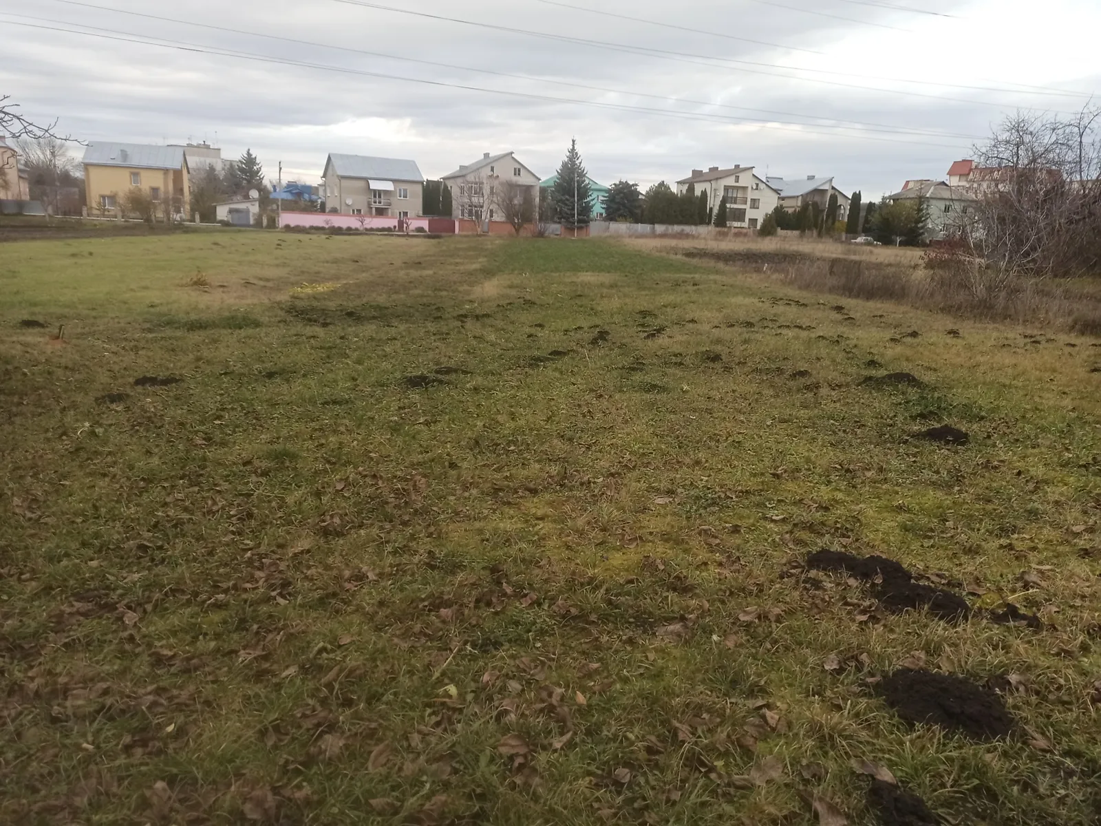 Продається земельна ділянка 24 соток у Тернопільській області - фото 2