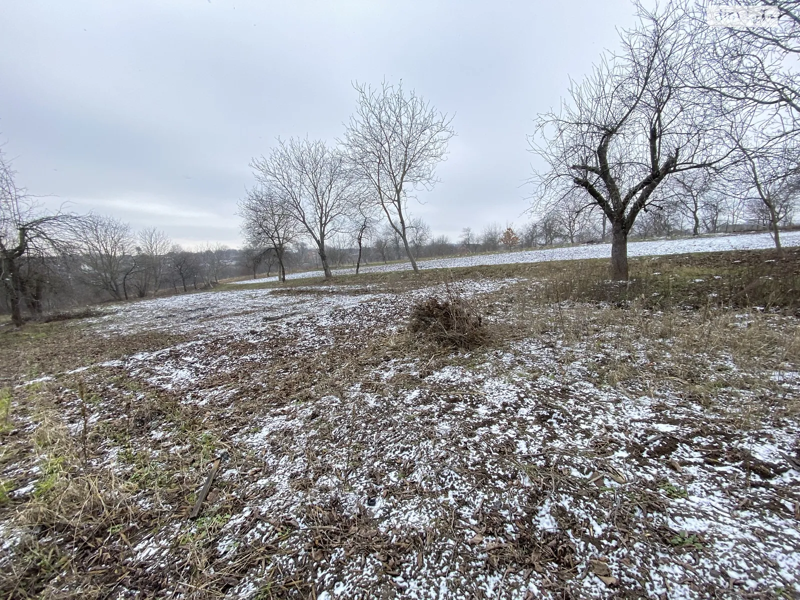 Продается земельный участок 50 соток в Винницкой области - фото 2