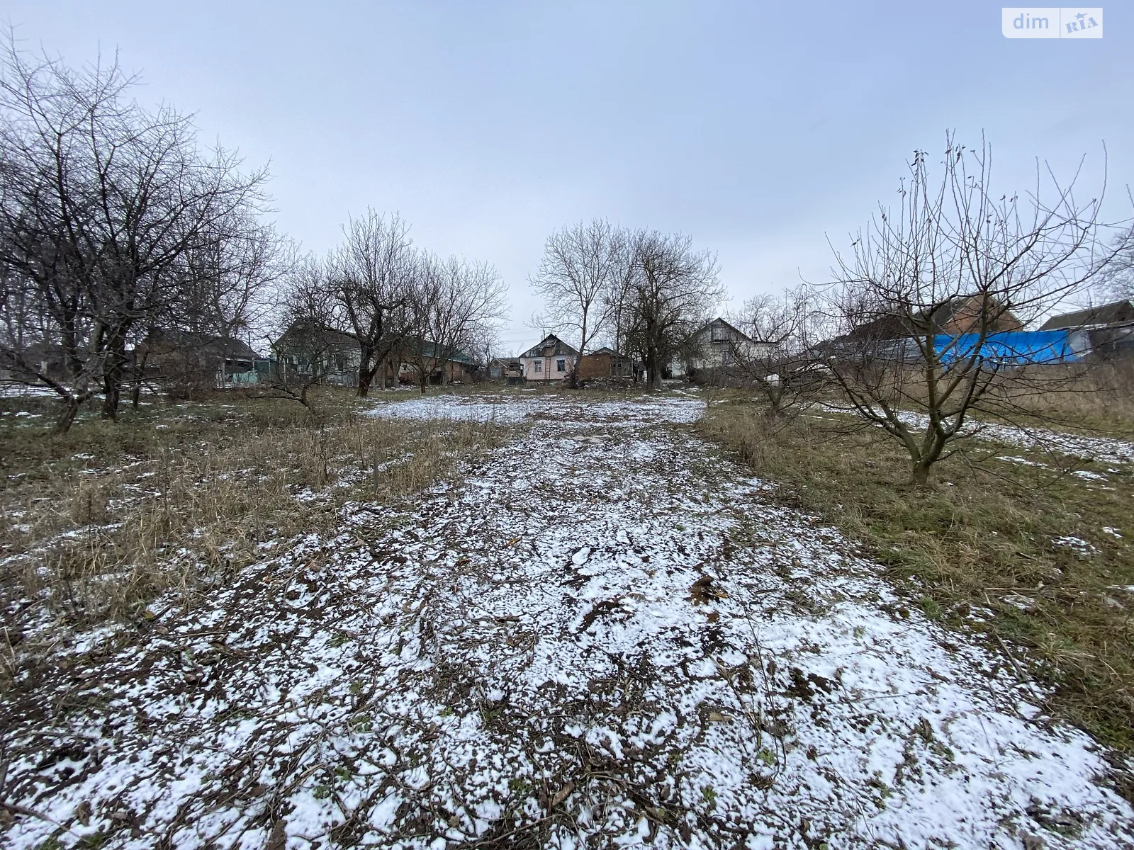Продается земельный участок 50 соток в Винницкой области - фото 3