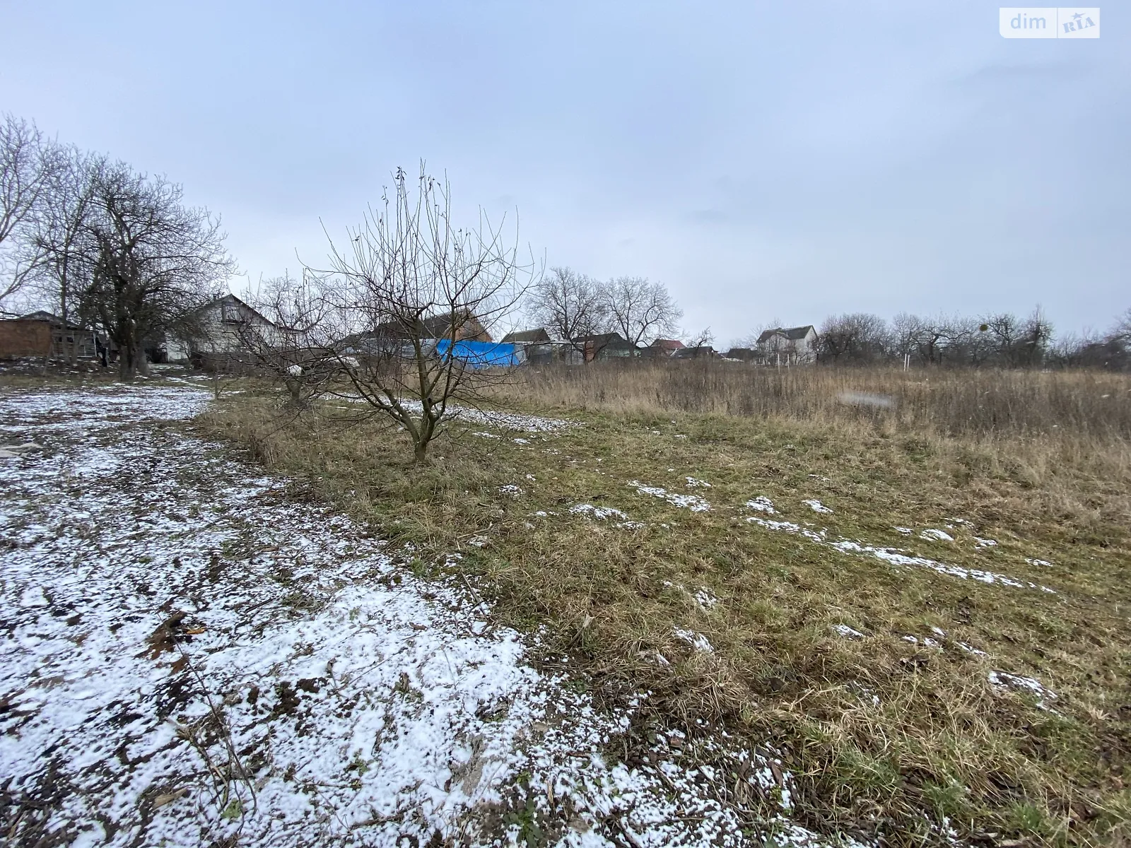 Продается земельный участок 50 соток в Винницкой области - фото 4