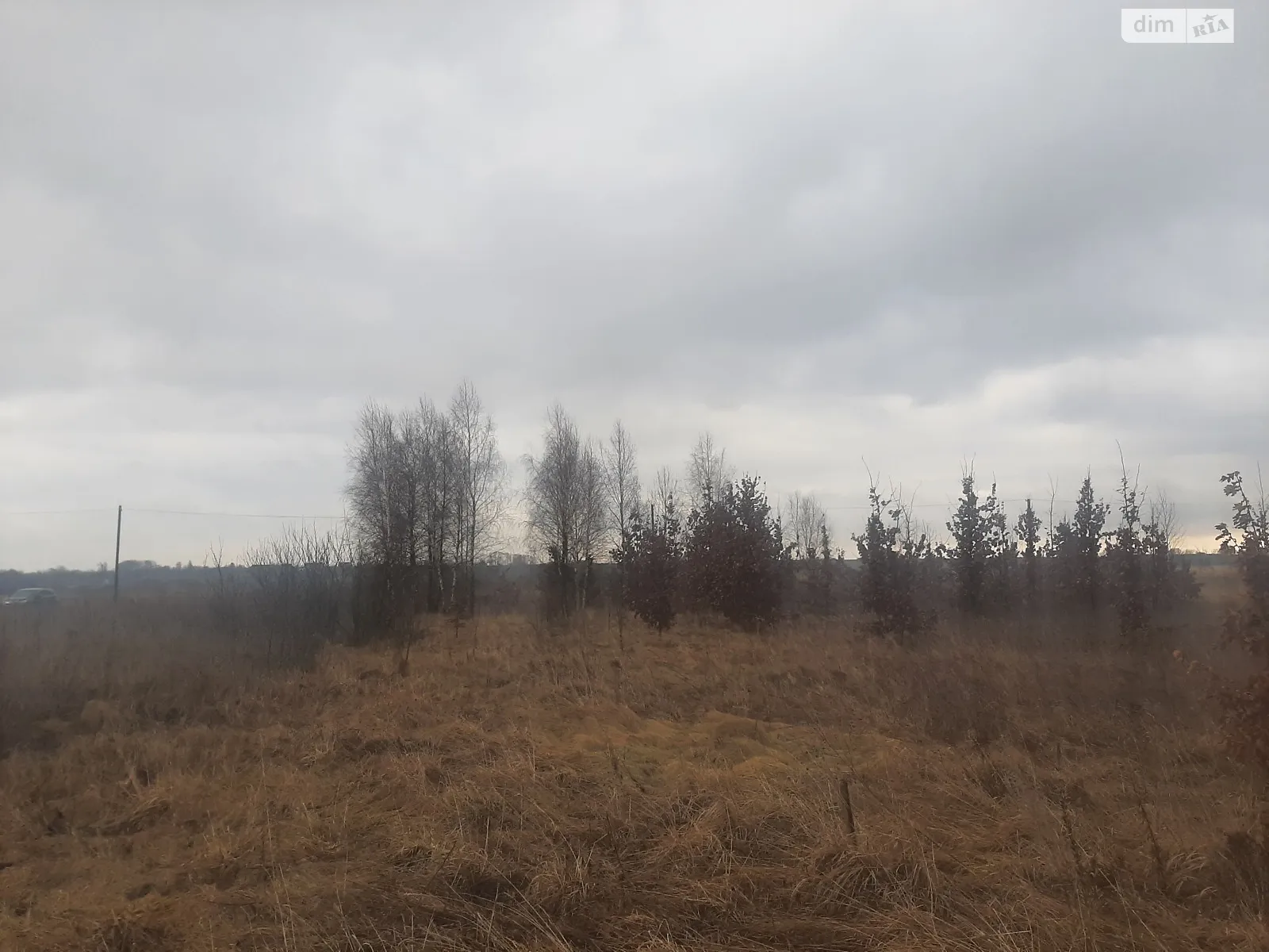 Продается земельный участок 10 соток в Ровенской области - фото 3