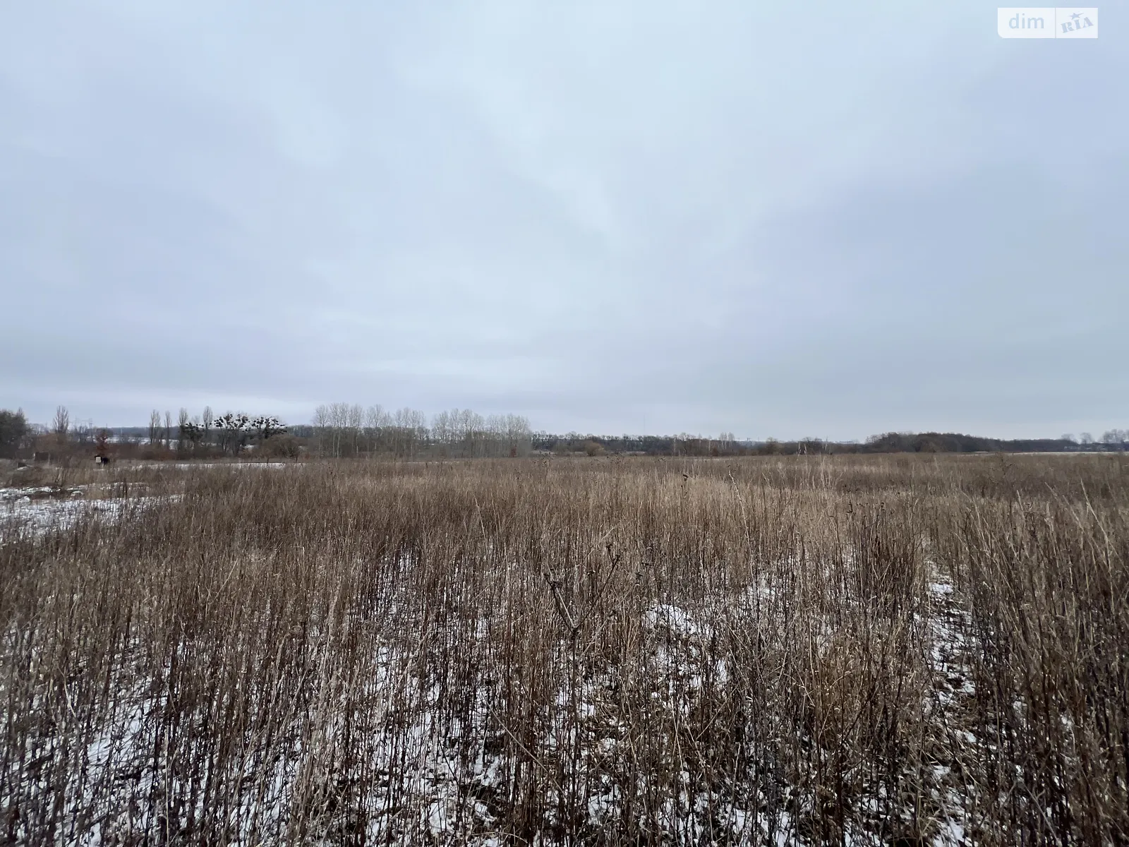 Продается земельный участок 70 соток в Винницкой области - фото 2