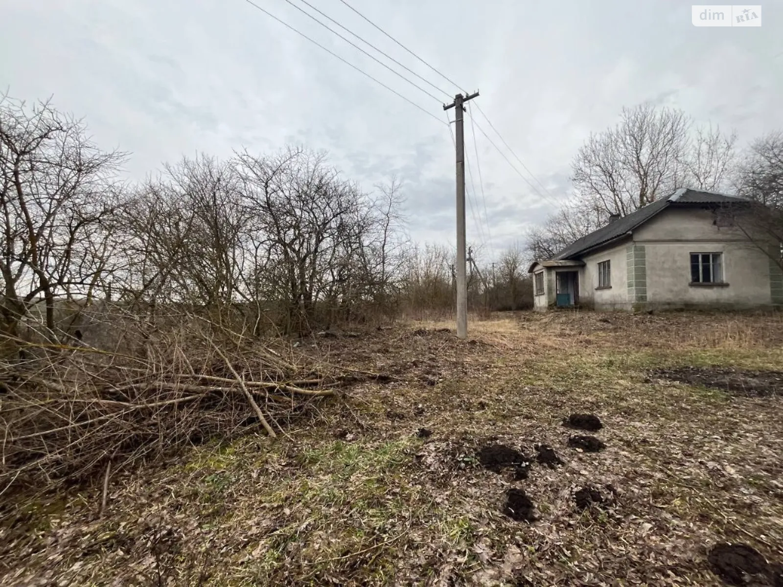 Продается земельный участок 30 соток в Тернопольской области - фото 3