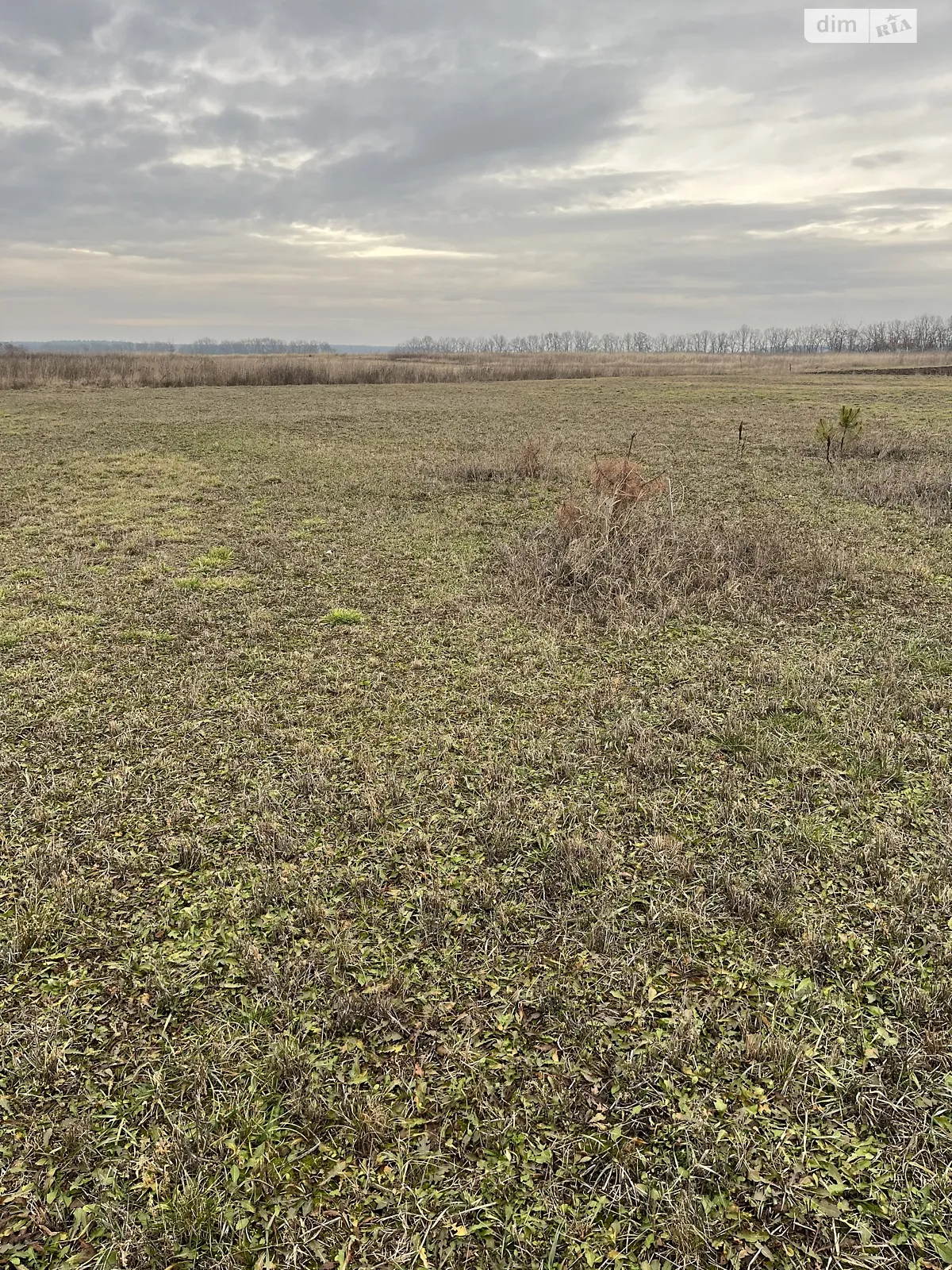 Продается земельный участок 0.1 соток в Винницкой области - фото 4