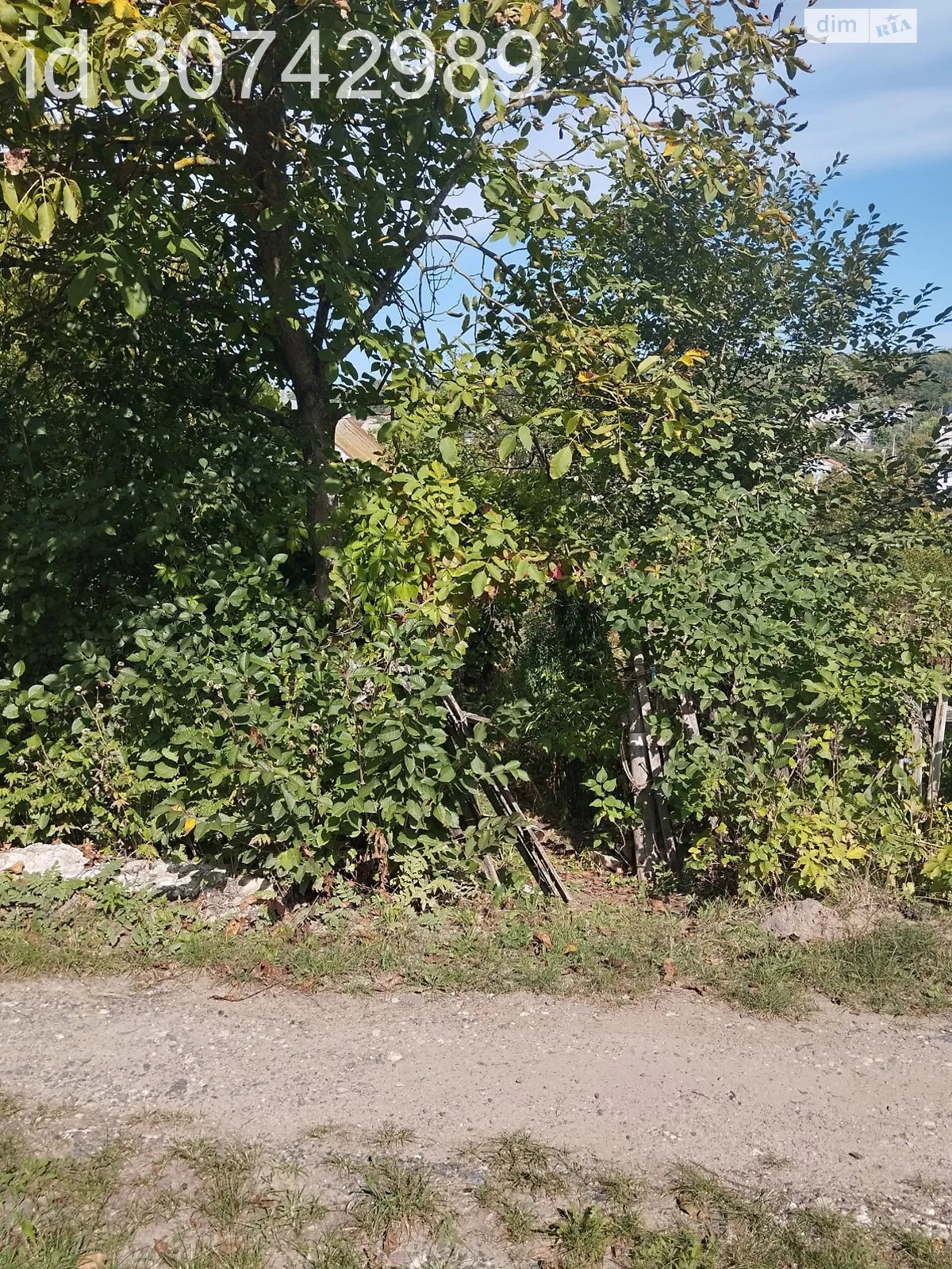 Продается земельный участок 11 соток в Хмельницкой области - фото 4