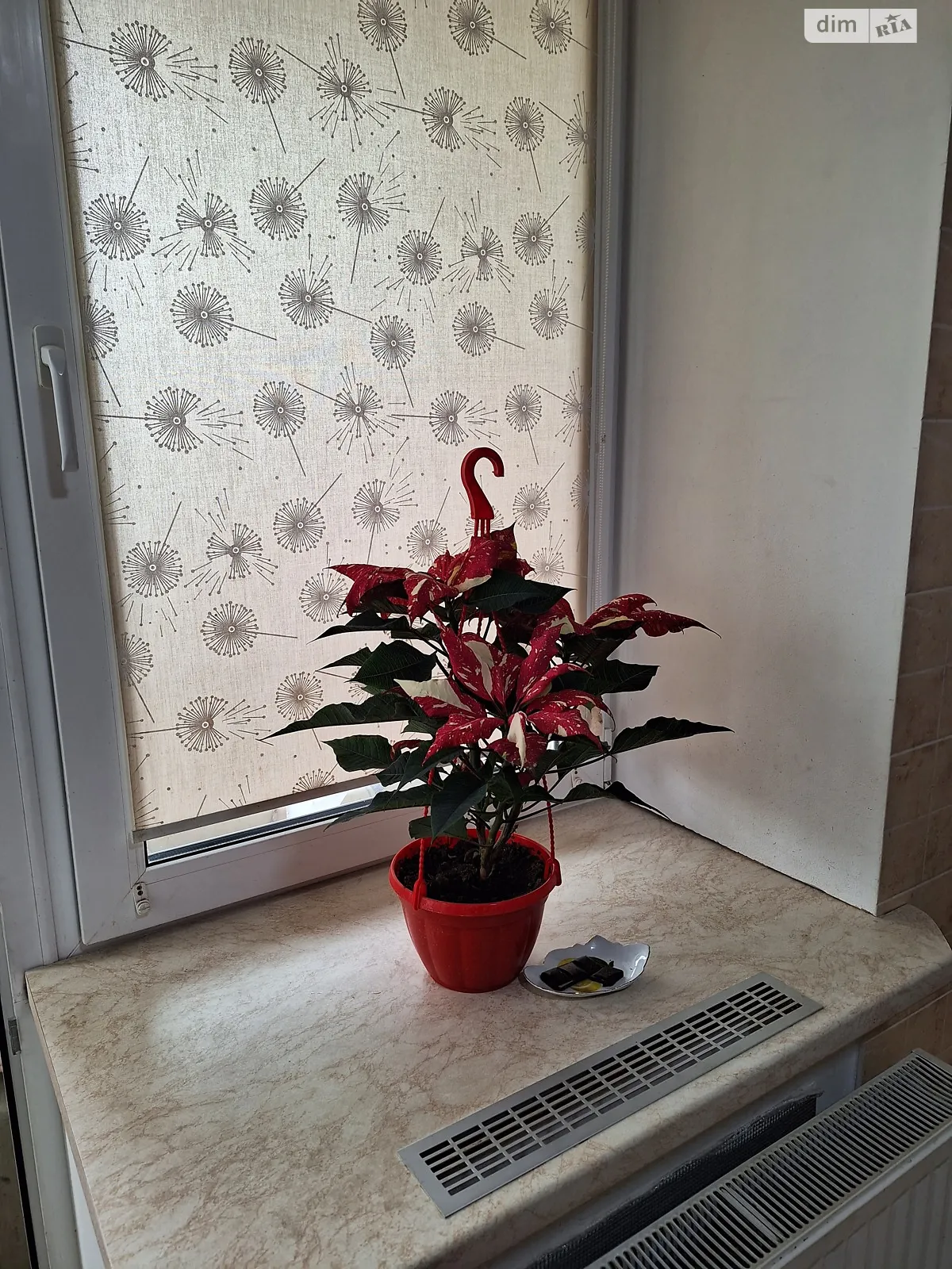 вул. Миколаївська, 6 Академічний Вінниця ЖК Академічний - фото 1