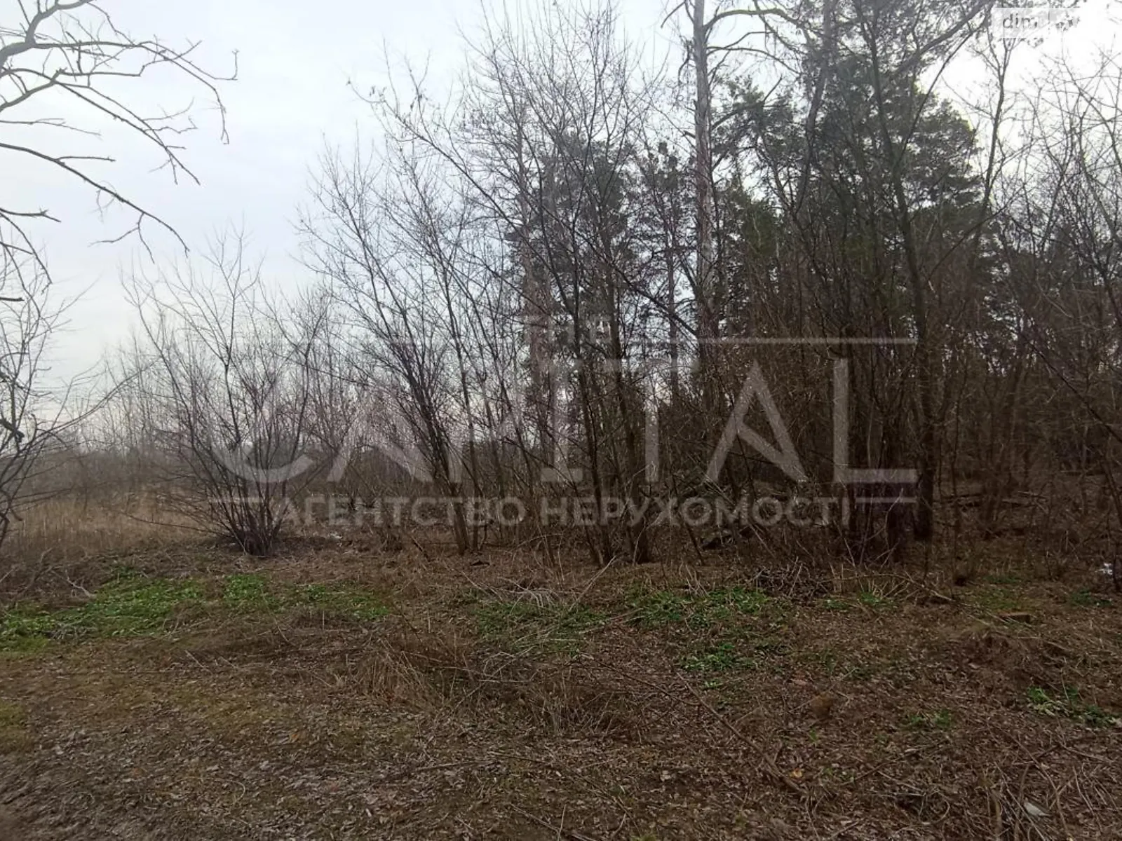 Продается земельный участок 28 соток в Киевской области - фото 3