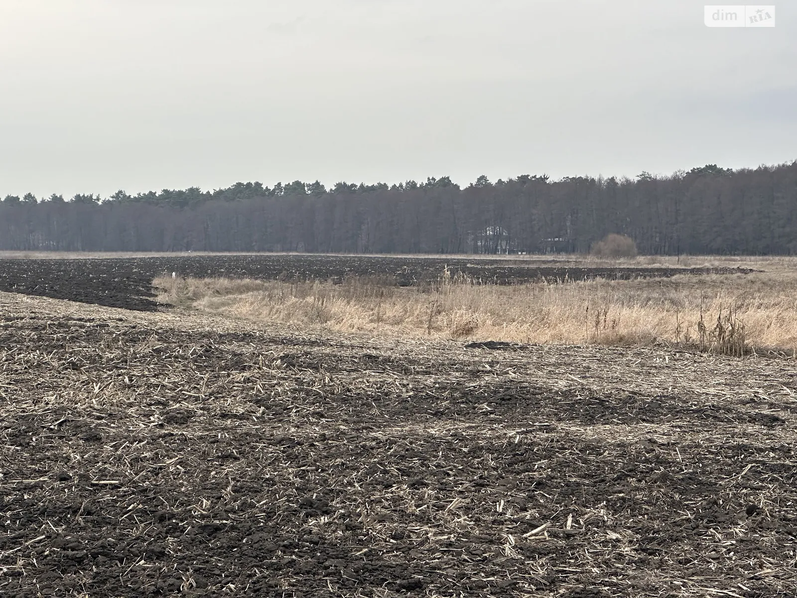Продается земельный участок 68 соток в Винницкой области - фото 2