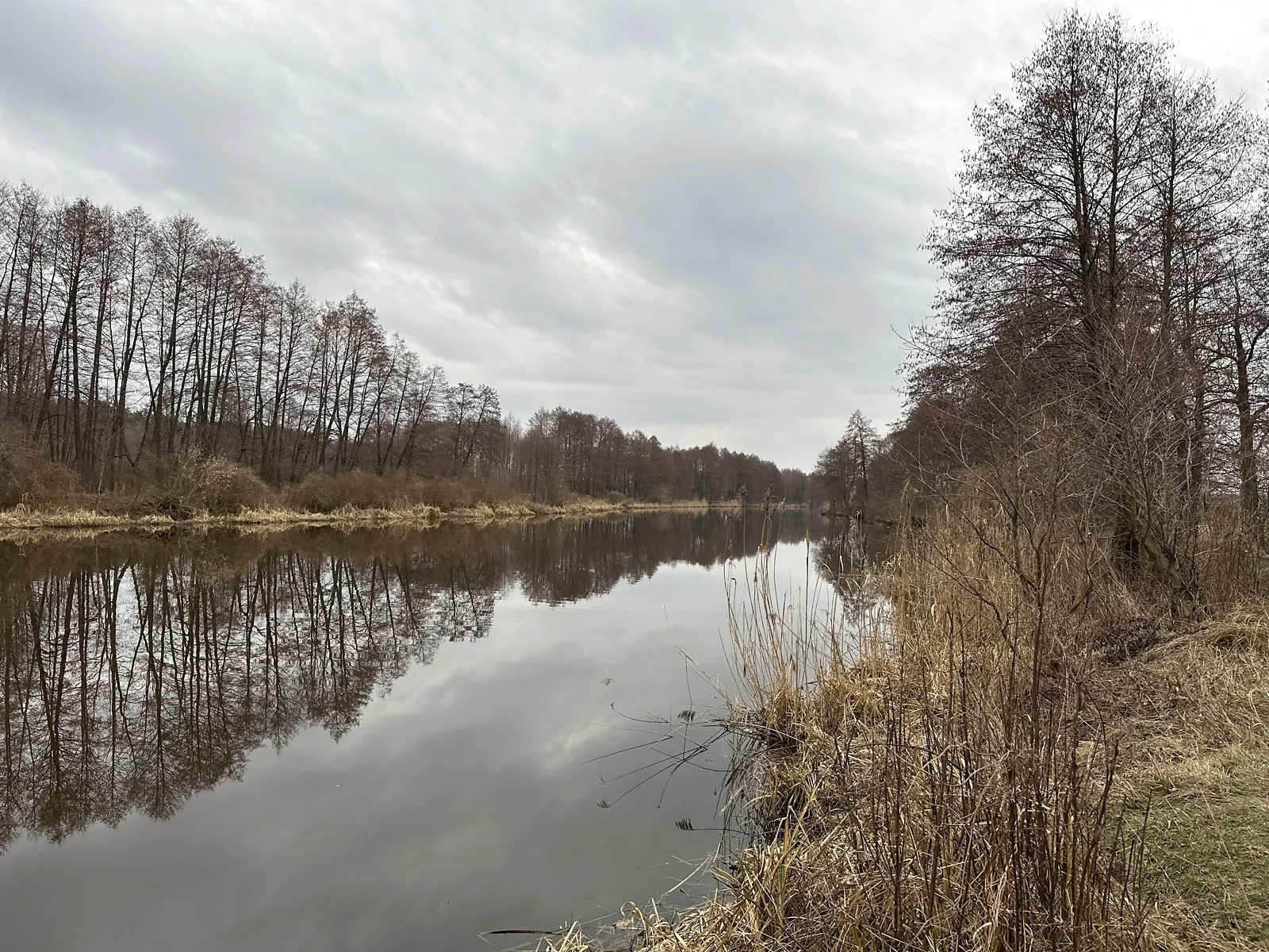 Продається земельна ділянка 68 соток у Вінницькій області, цена: 33000 $