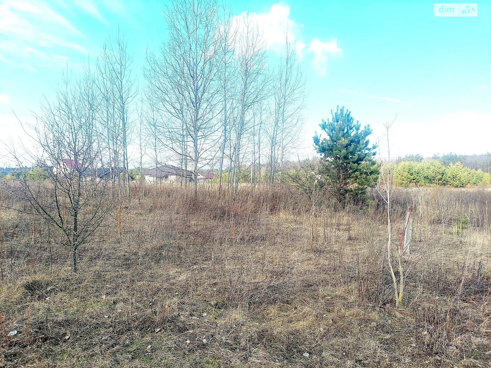 Продается земельный участок 10 соток в Житомирской области - фото 2