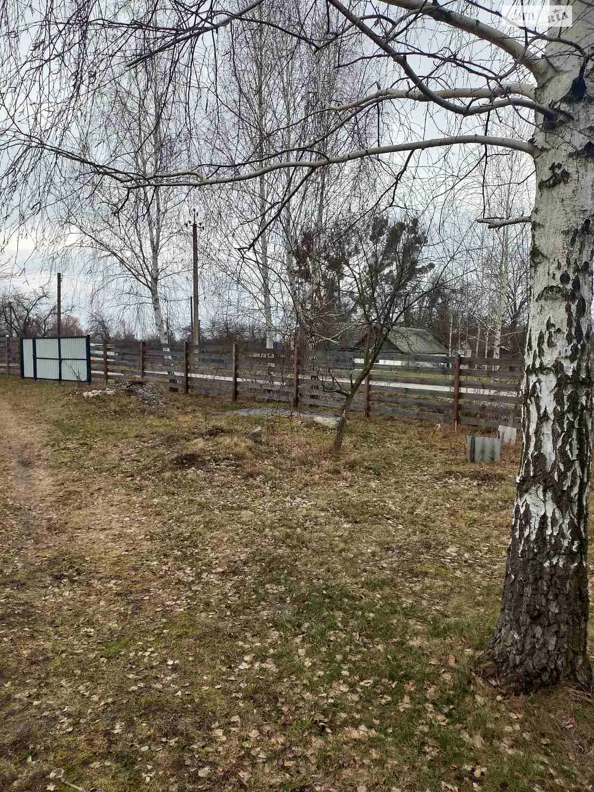 Продается земельный участок 9 соток в Житомирской области, цена: 25000 $ - фото 1