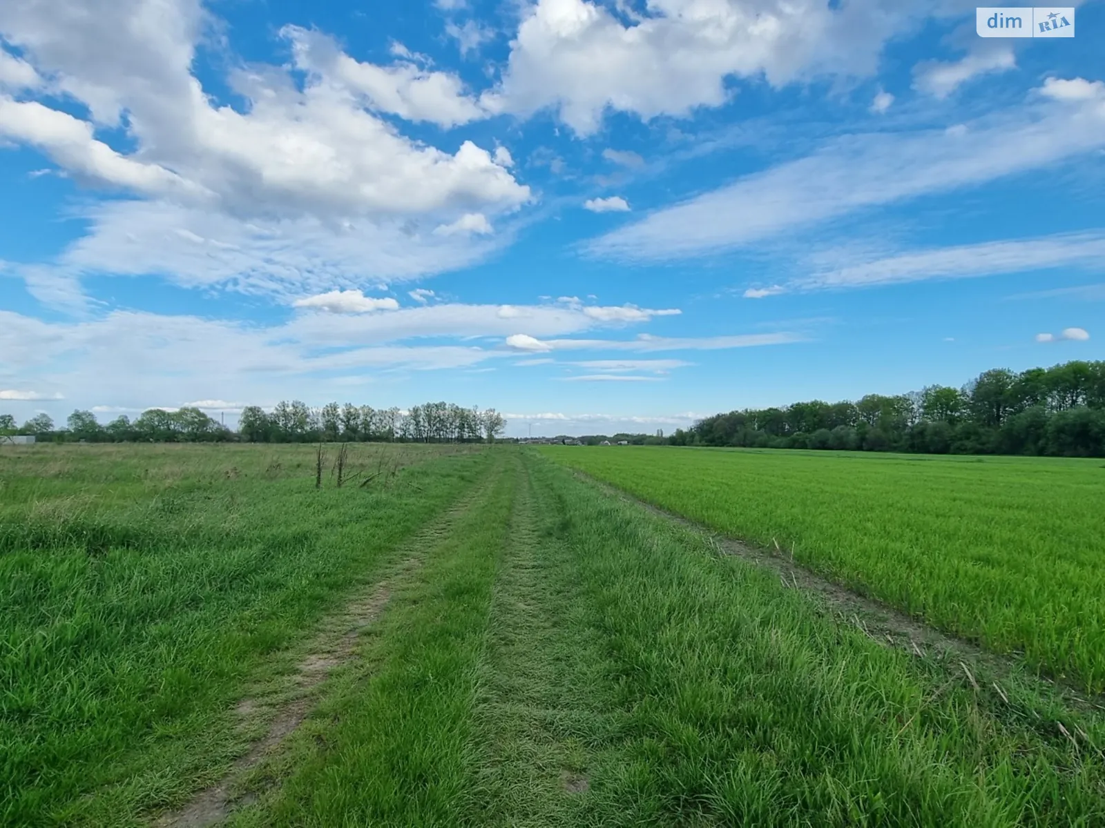 Продається земельна ділянка 20 соток у Київській області - фото 3