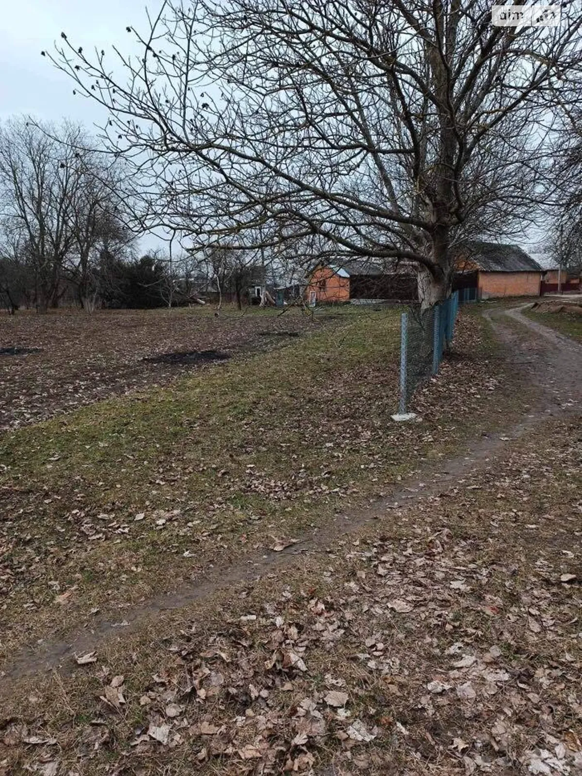 Продается земельный участок 22 соток в Винницкой области - фото 2