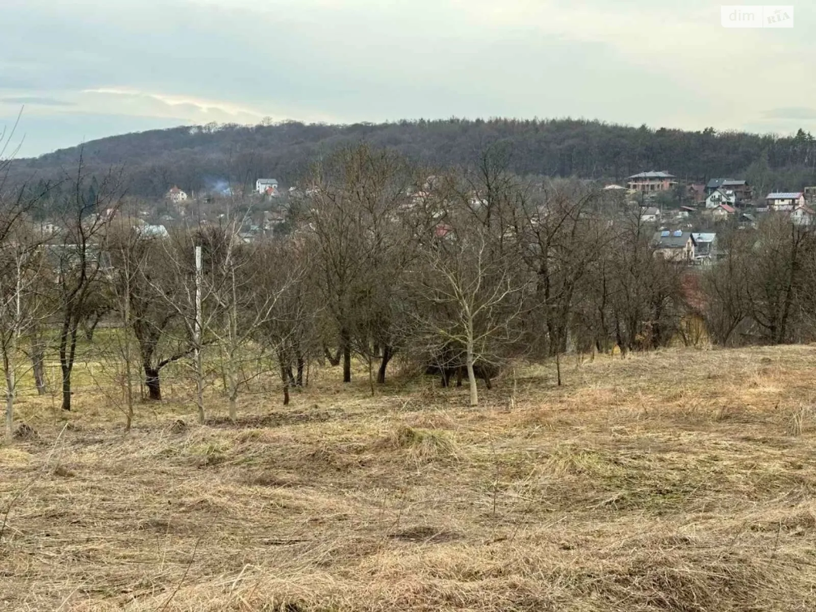Продается земельный участок 35 соток в Львовской области - фото 2