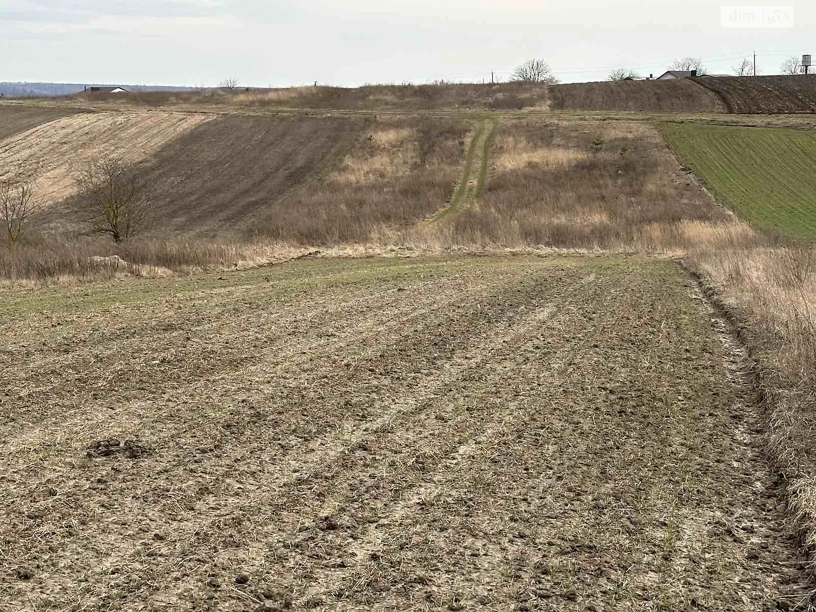 Продається земельна ділянка 21 соток у Рівненській області, цена: 15000 $ - фото 1