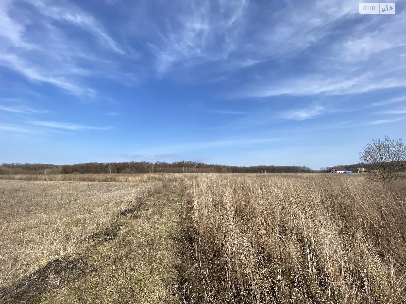 Продается земельный участок 8.3 соток в Винницкой области - фото 4