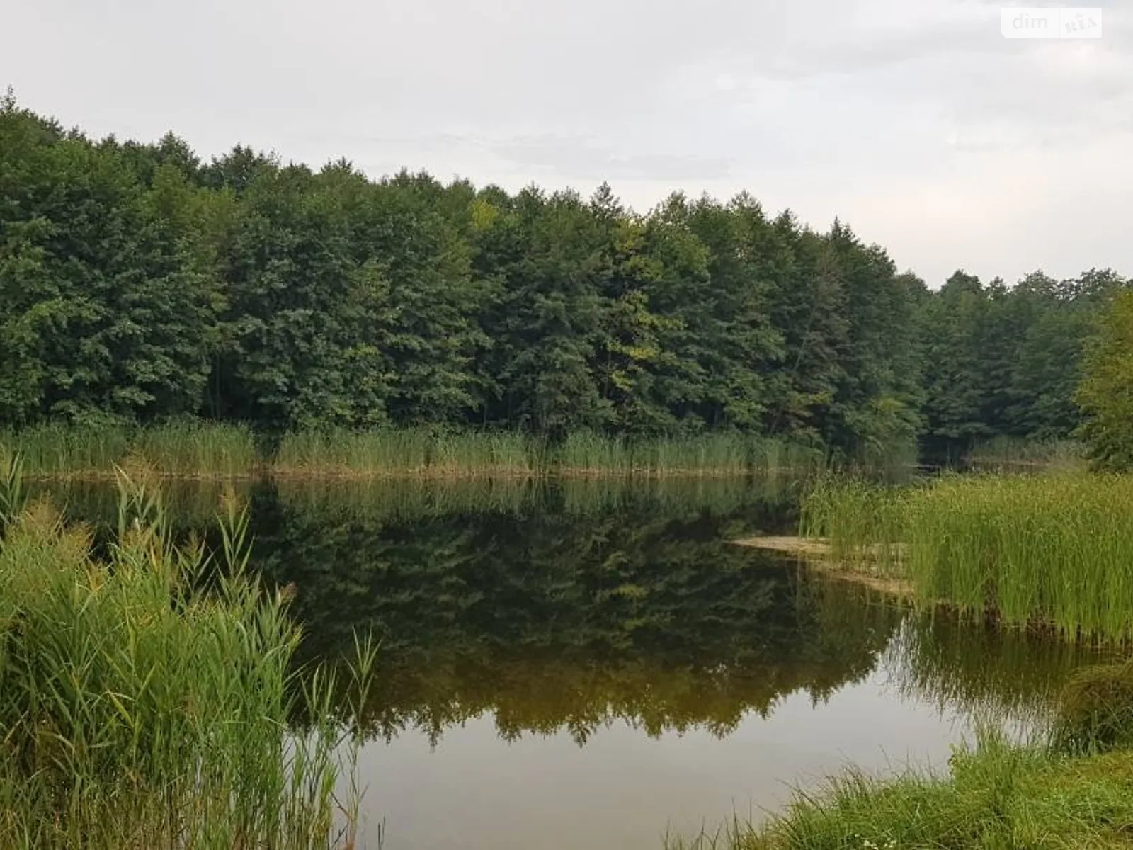 Продається 1-кімнатна квартира 39 кв. м у Макарові, вул. Виноградна, 2/1