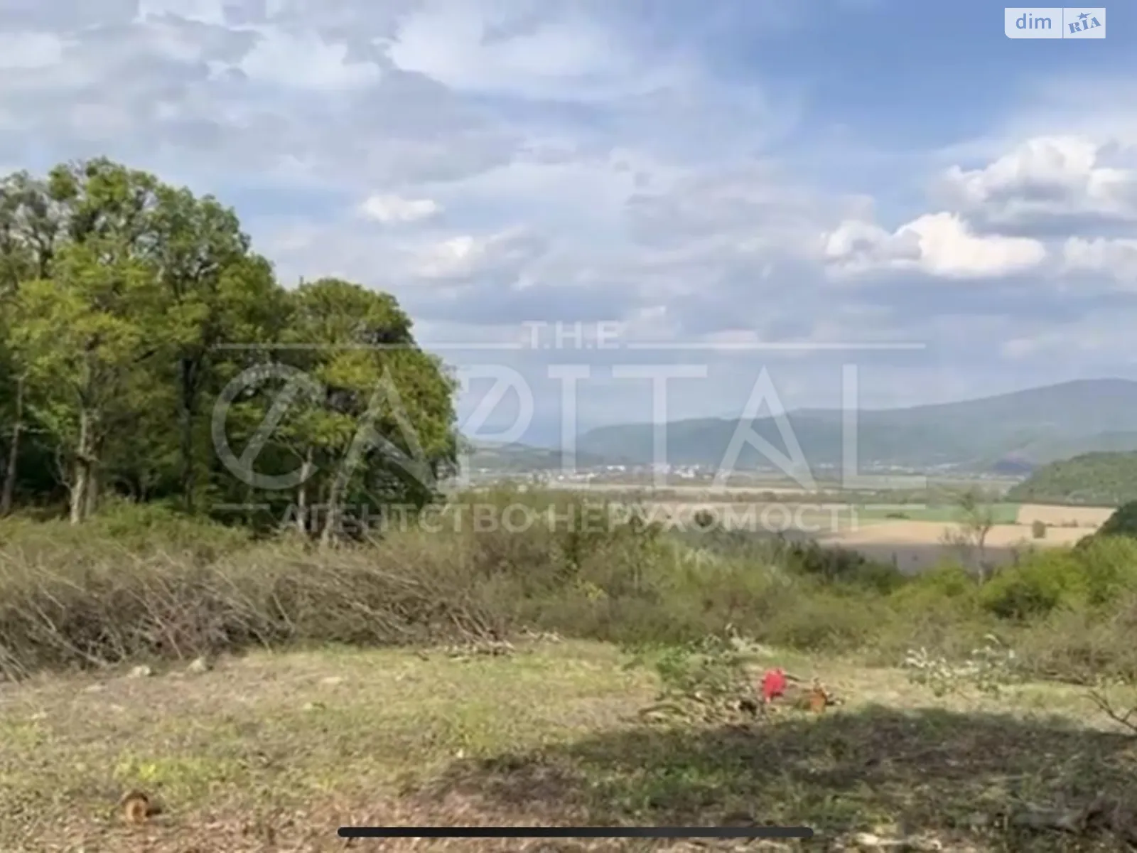 Продается земельный участок 160 соток в Закарпатской области, цена: 220000 $