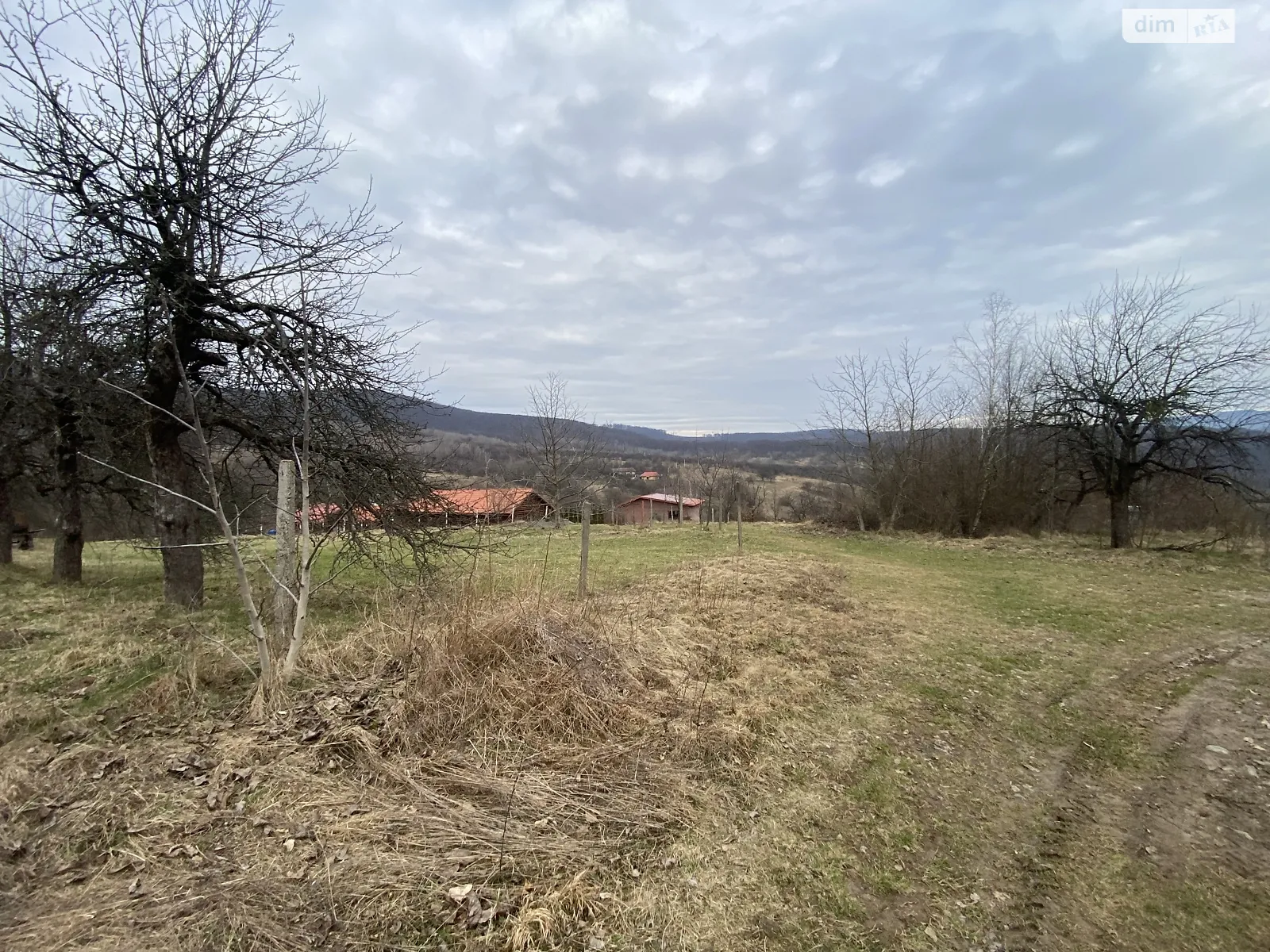 Продается земельный участок 11.45 соток в Закарпатской области - фото 3