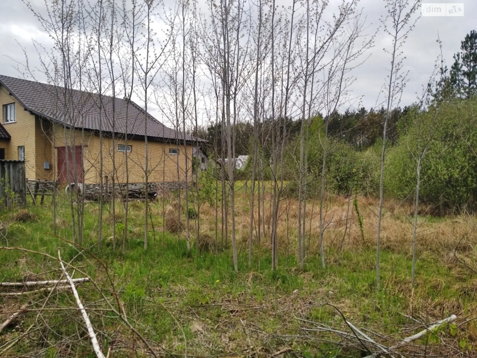 Продается земельный участок 15 соток в Житомирской области - фото 3