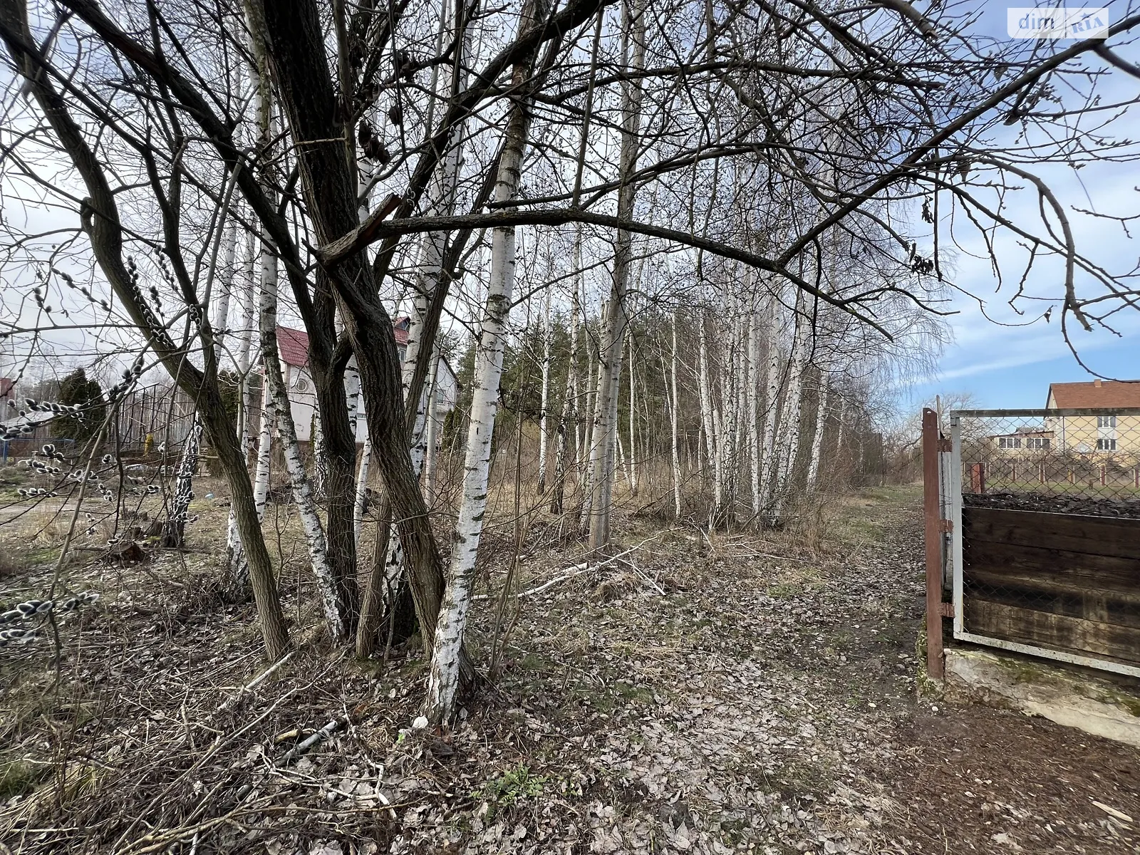 Продается земельный участок 45 соток в Житомирской области - фото 4