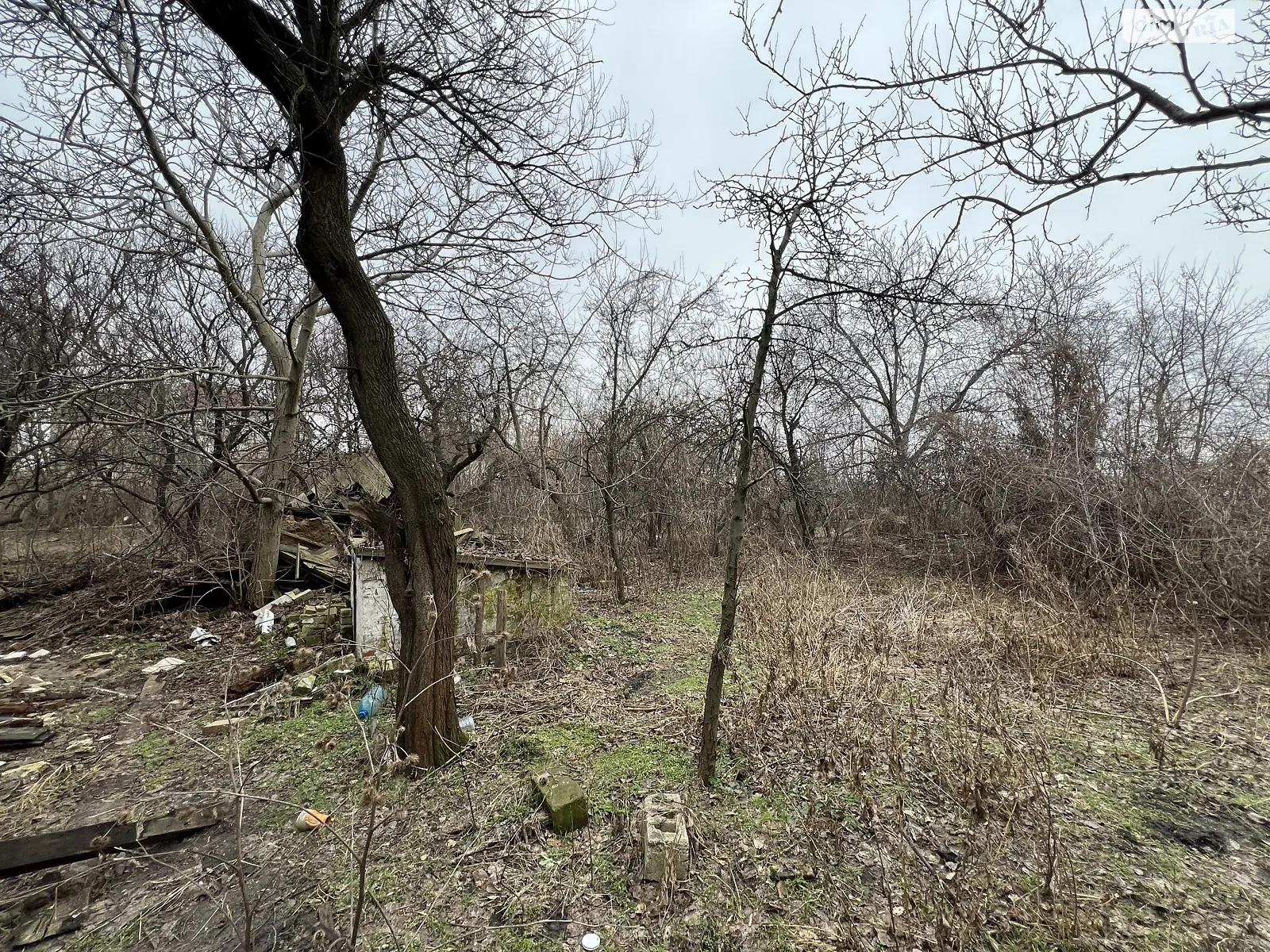 Продается земельный участок 10 соток в Днепропетровской области - фото 4
