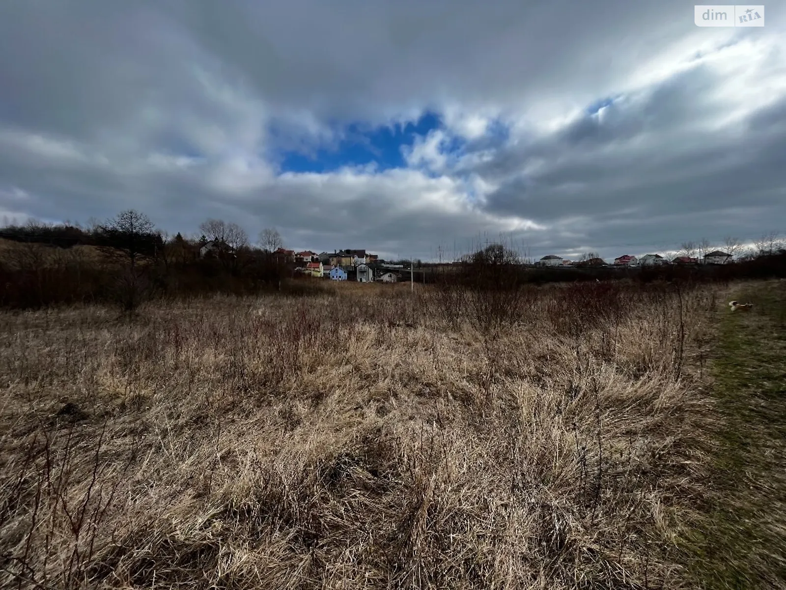 Продается земельный участок 17.6 соток в Хмельницкой области - фото 3