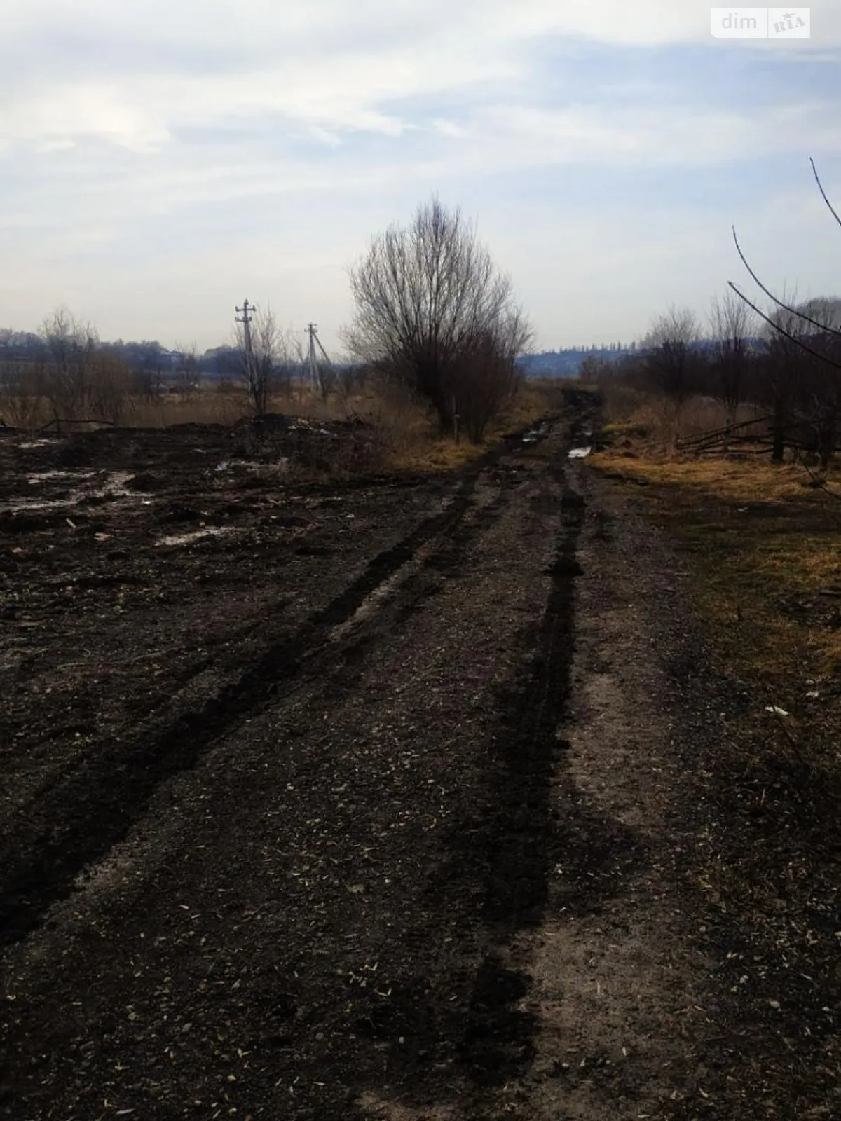 Продается земельный участок 40 соток в Тернопольской области - фото 3