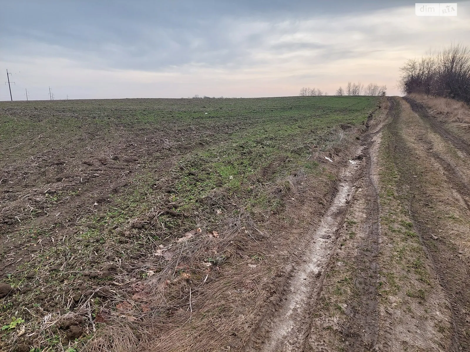 Продается земельный участок 2.5 соток в Ровенской области - фото 3