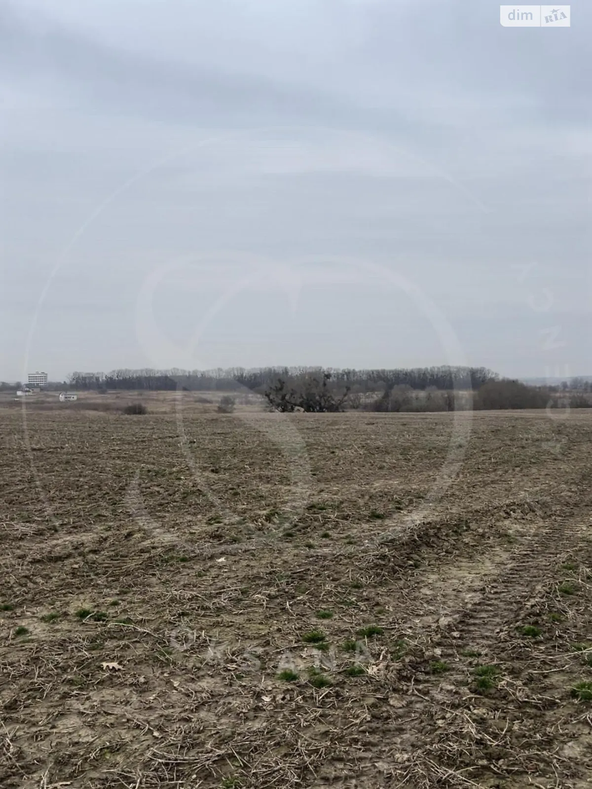 Продается земельный участок 600 соток в Львовской области - фото 3