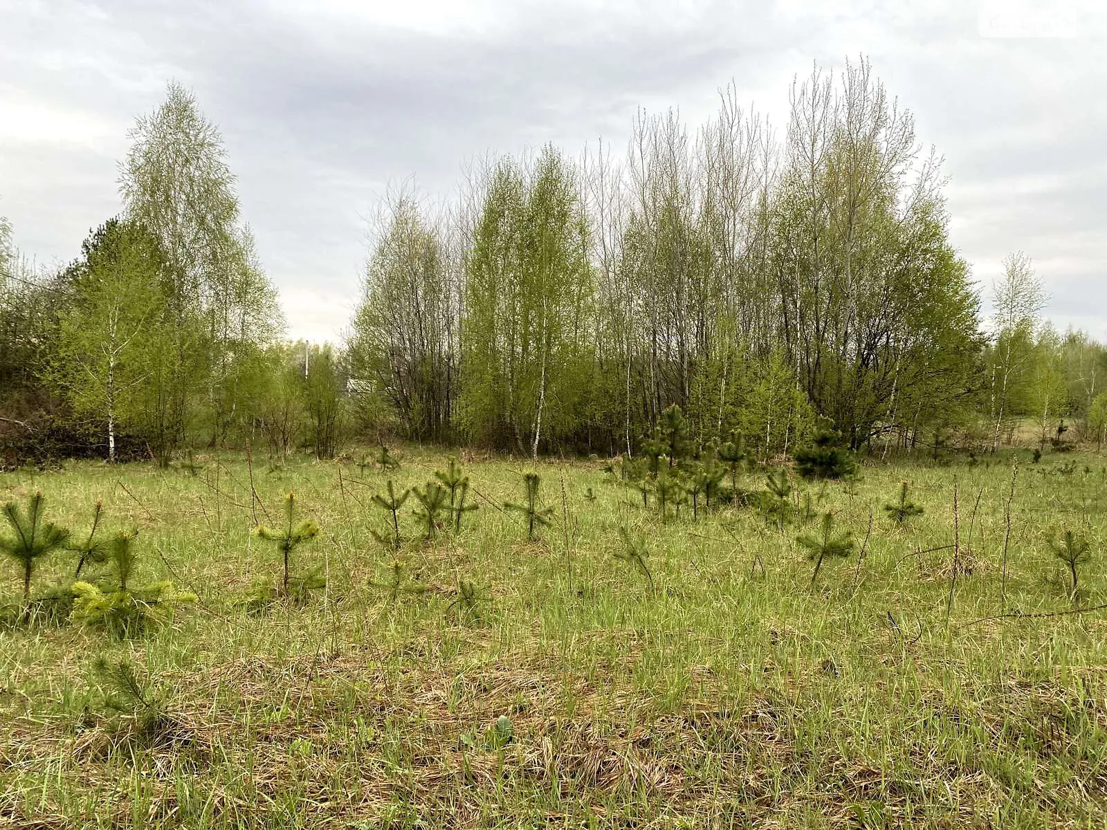 Продається земельна ділянка 10 соток у Київській області, цена: 6500 $