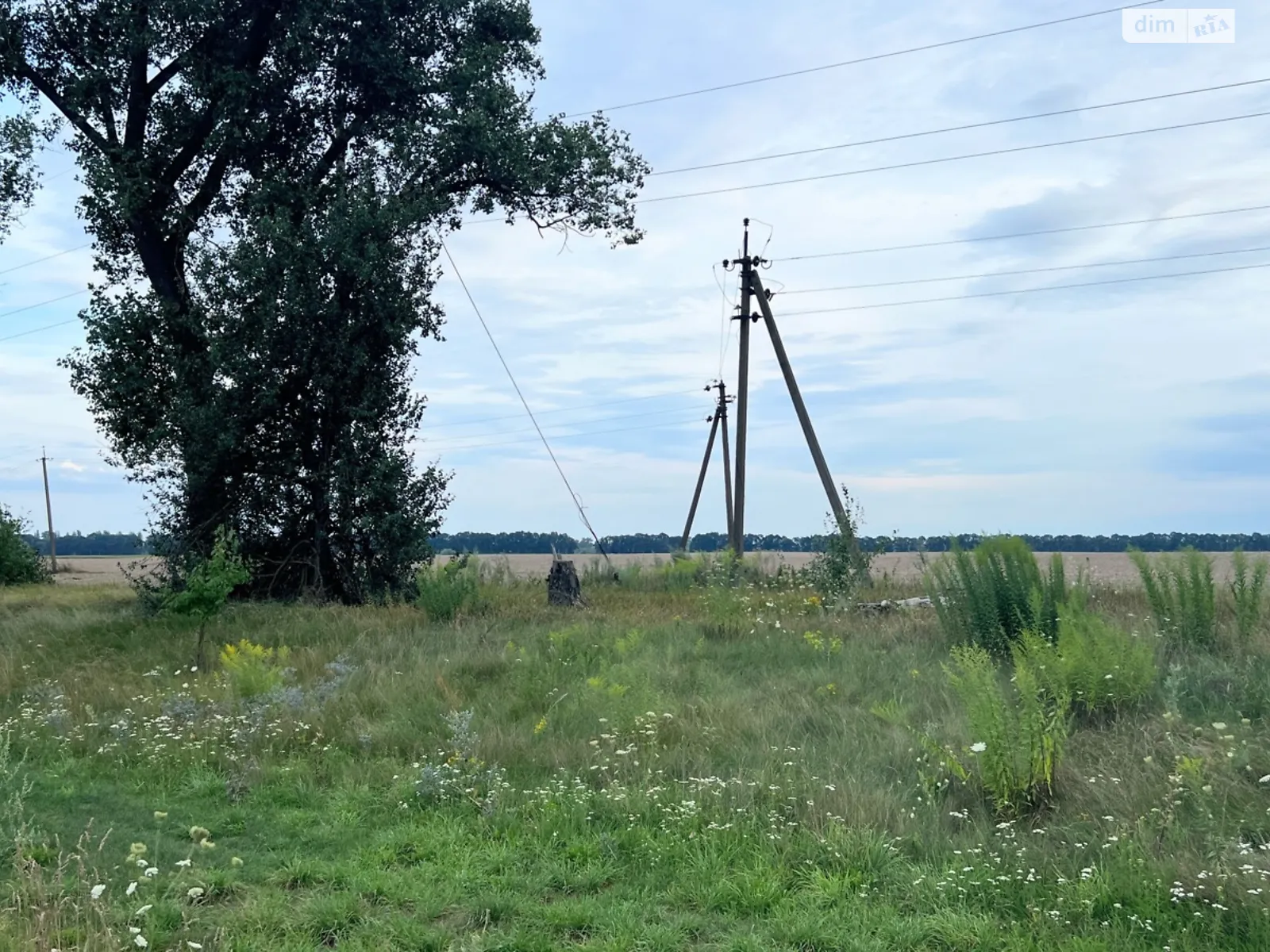 Продається земельна ділянка 190 соток у Київській області - фото 4