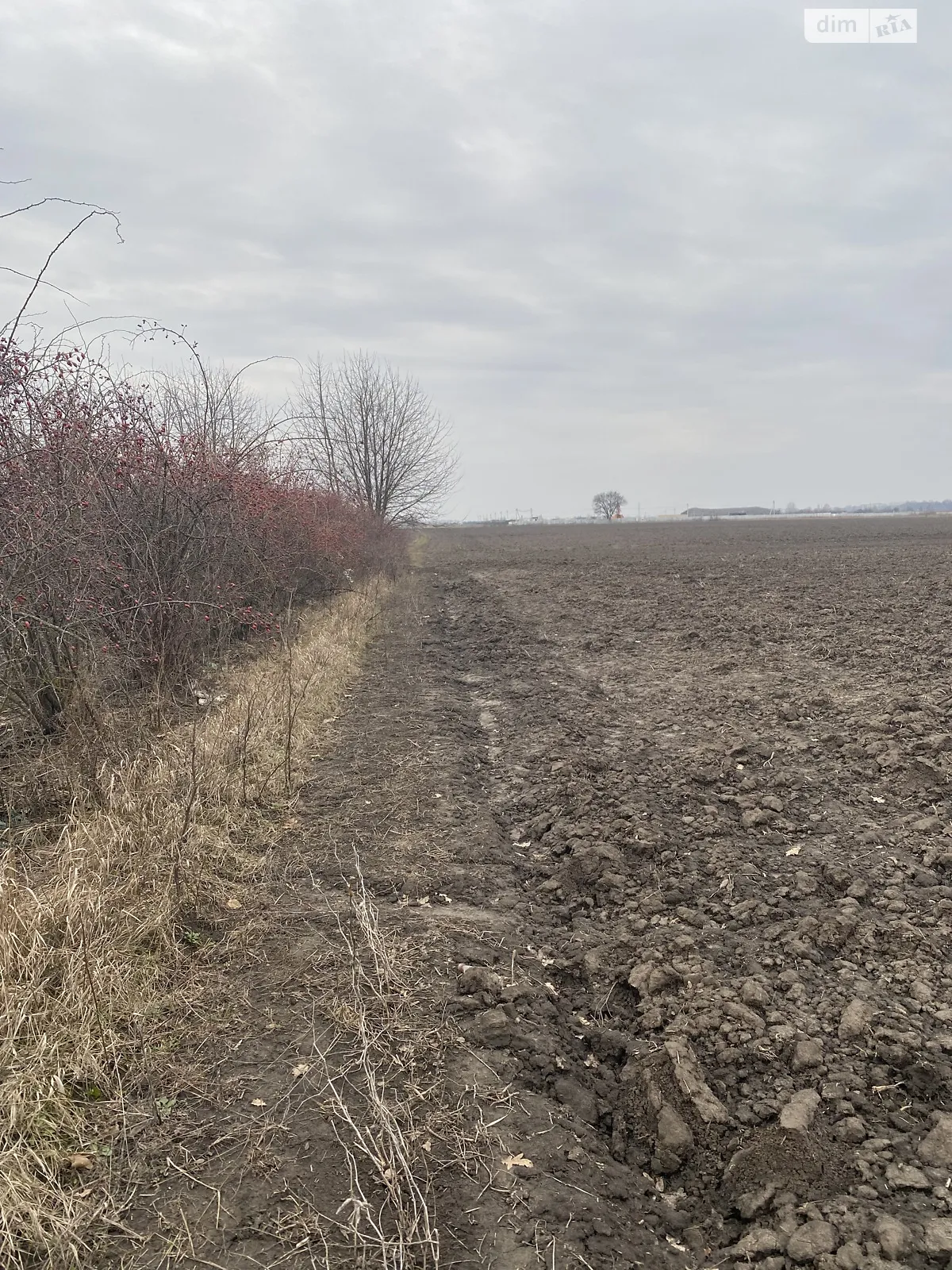 Продается земельный участок 140 соток в Винницкой области - фото 4