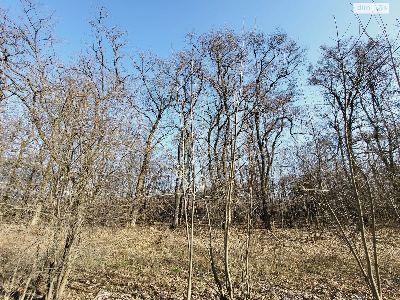 Продається земельна ділянка 8 соток у Вінницькій області, цена: 15000 $ - фото 1