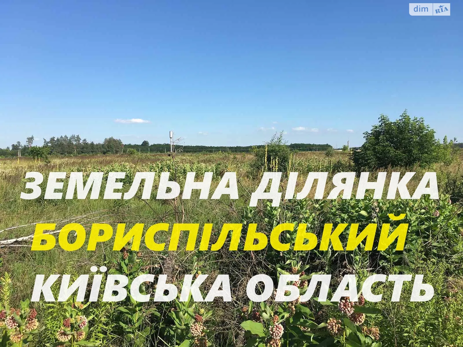 Продається земельна ділянка 60 соток у Київській області, цена: 360000 $