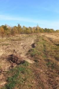 Земельные участки в Сторожинце без посредников