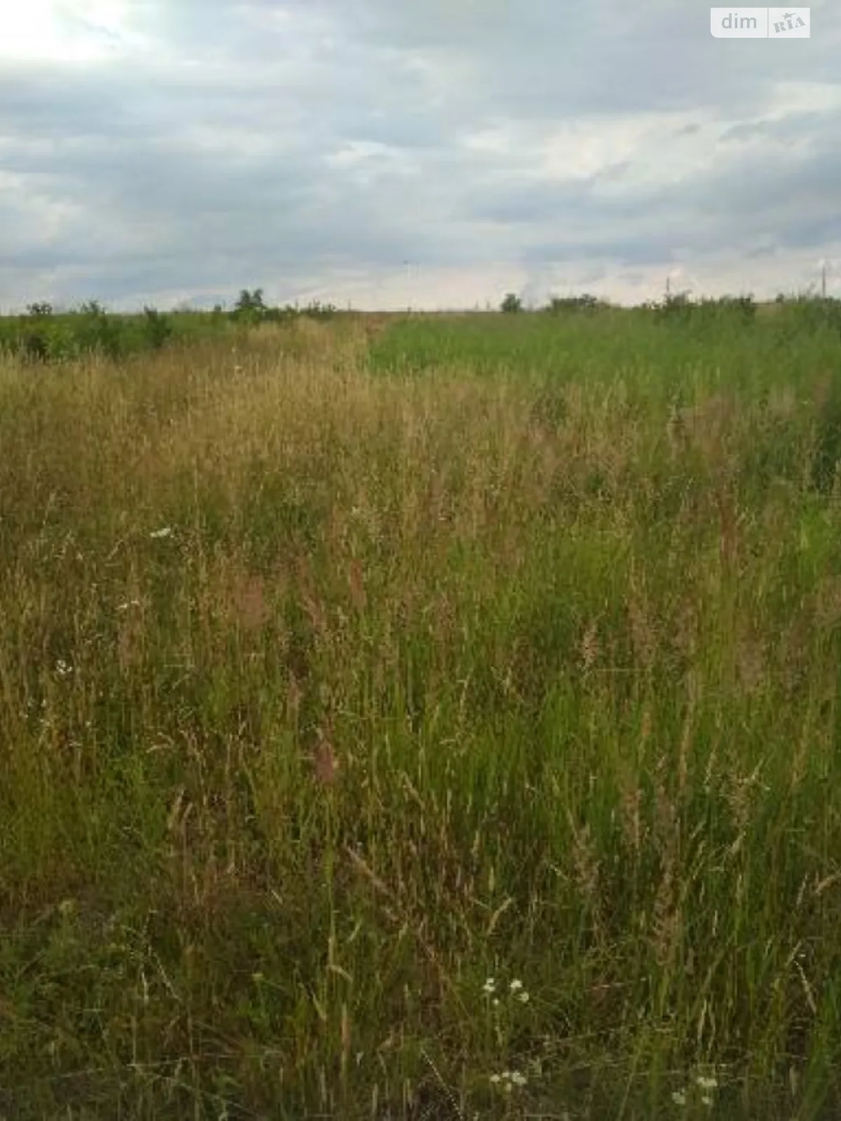 Продается земельный участок 15.7 соток в Ивано-Франковской области - фото 3