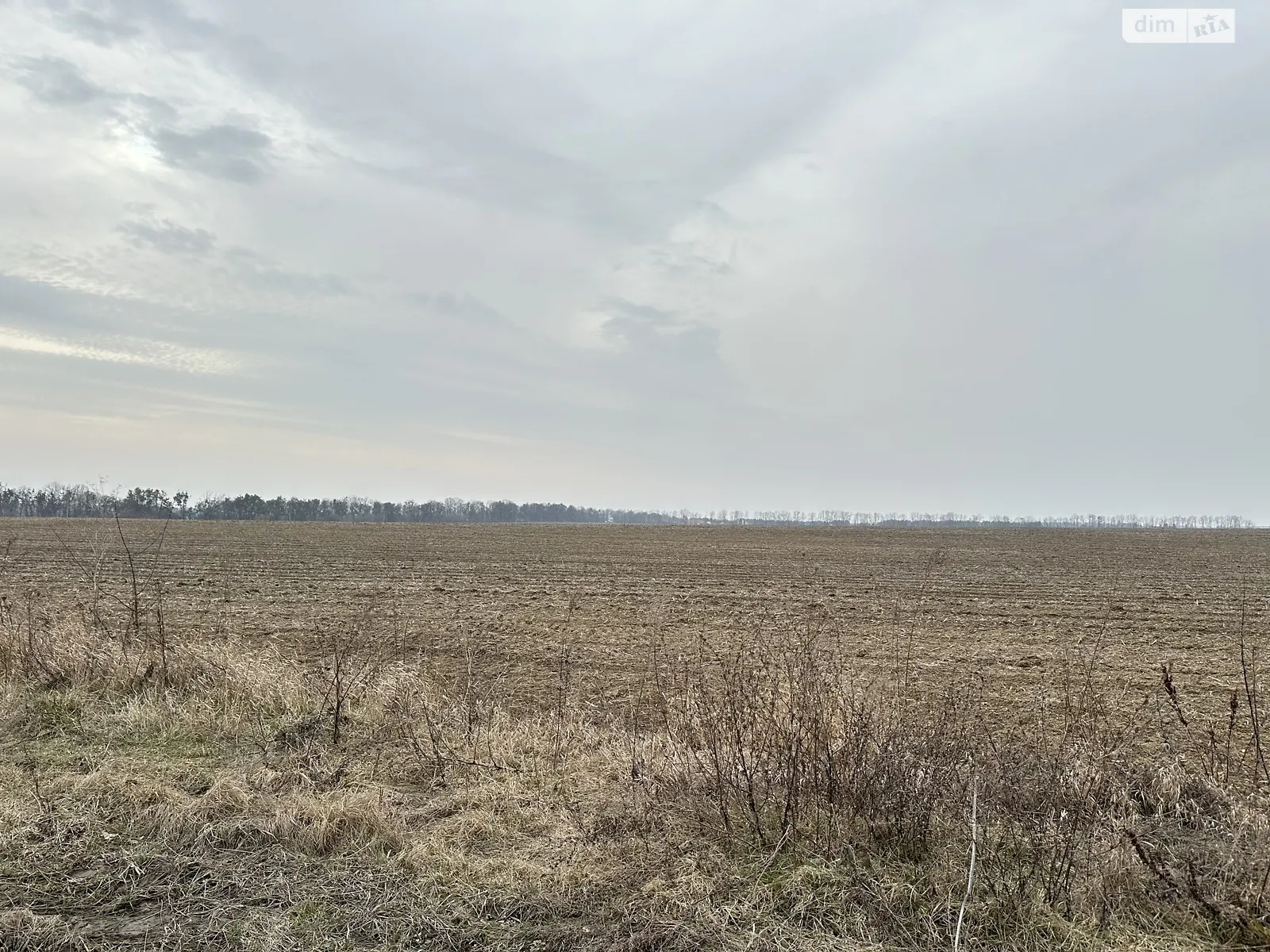 Продается земельный участок 2 соток в Винницкой области - фото 3