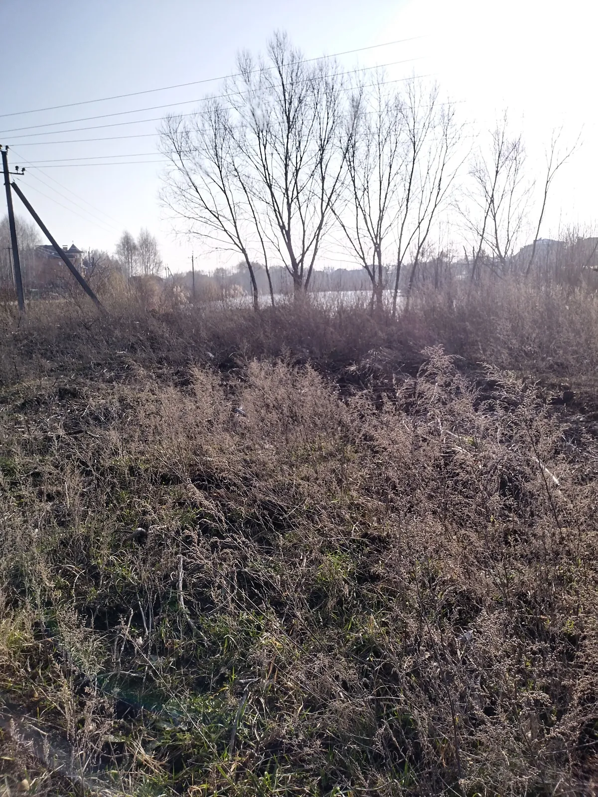 Продается земельный участок 7.5 соток в Винницкой области - фото 4