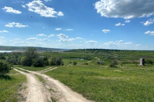 Купить землю сельскохозяйственного назначения в Николаевской области