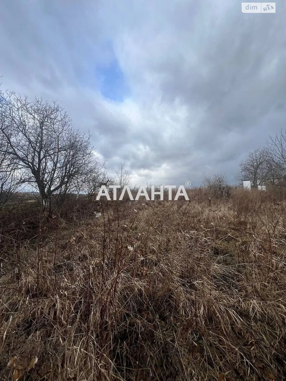 Продається земельна ділянка 30 соток у Вінницькій області - фото 2