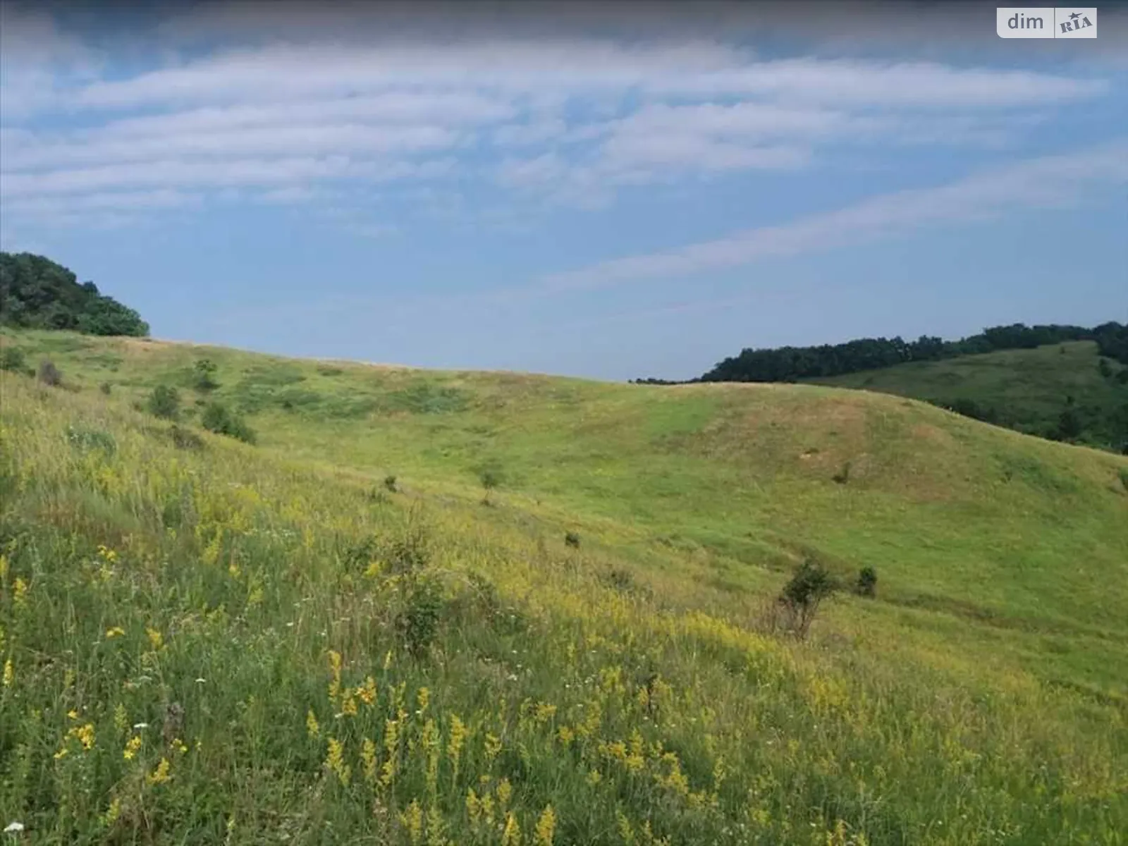 ул. Центральная Петровка (Хорол), цена: 8000 $