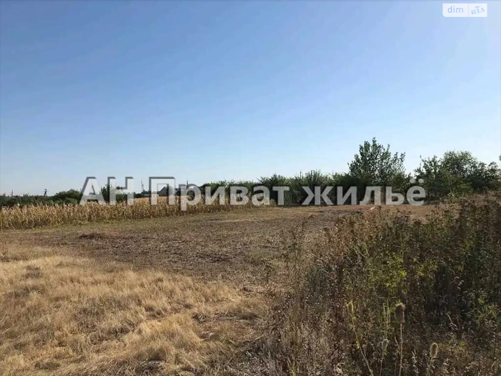 Продается земельный участок 15 соток в Полтавской области - фото 2