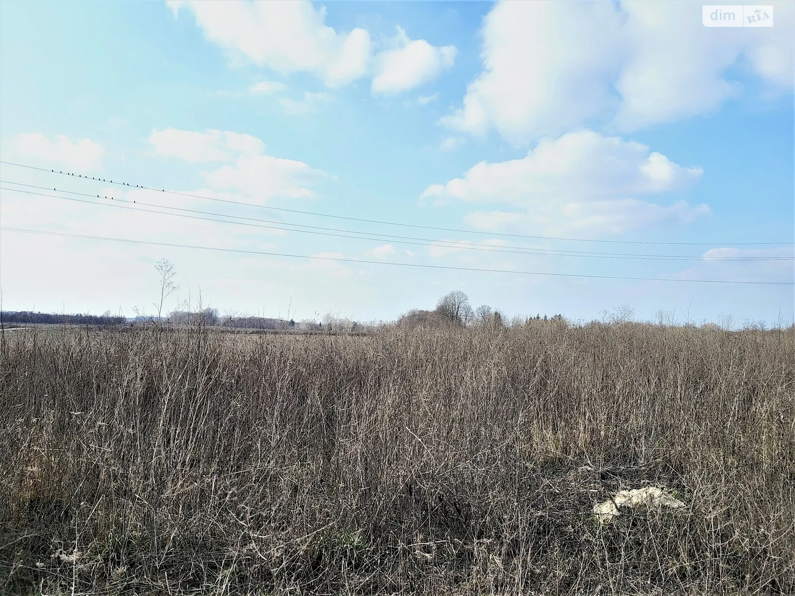 Продается земельный участок 23 соток в Винницкой области - фото 2